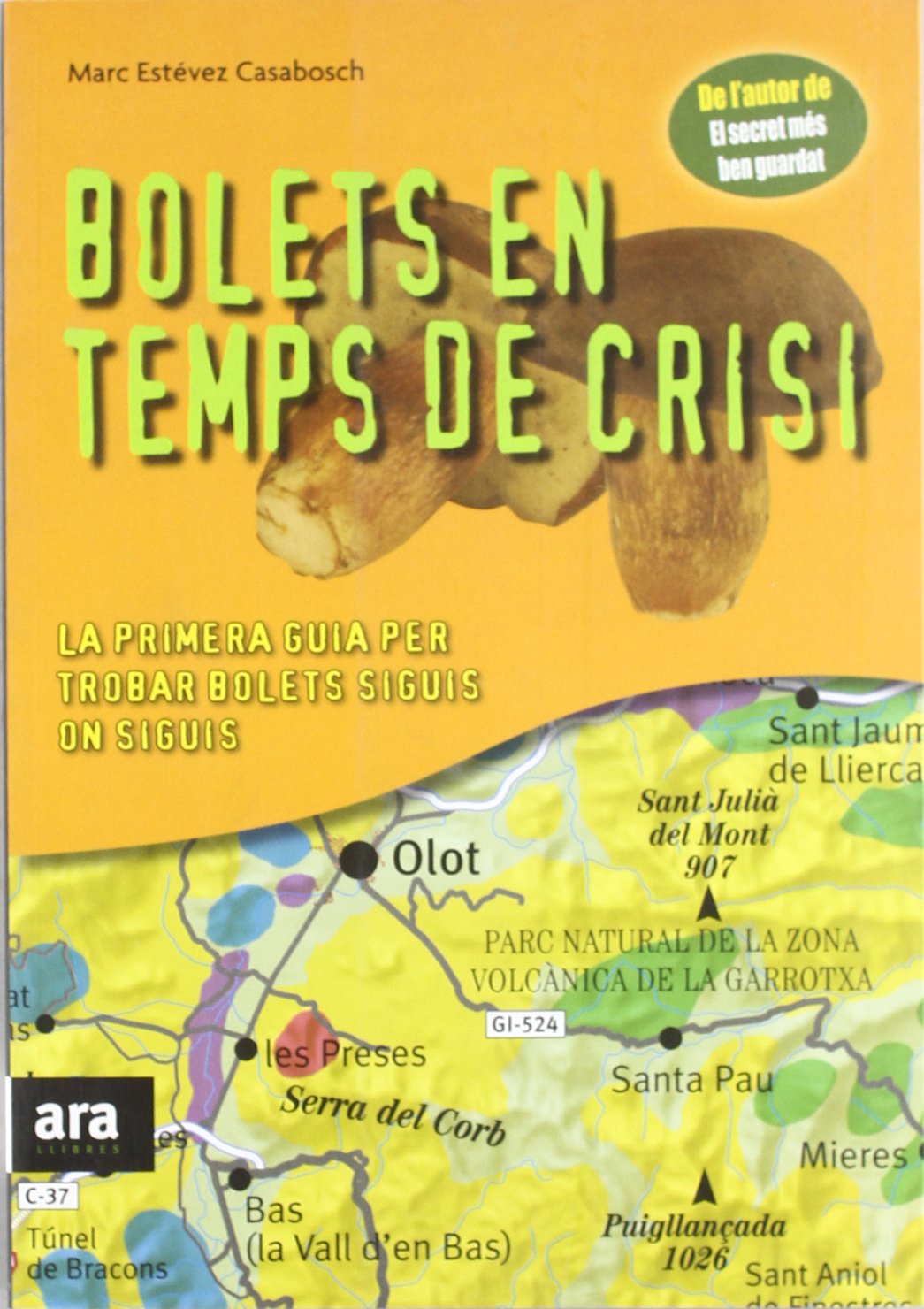 Bolets En Temps De Crisi (CATALAN)