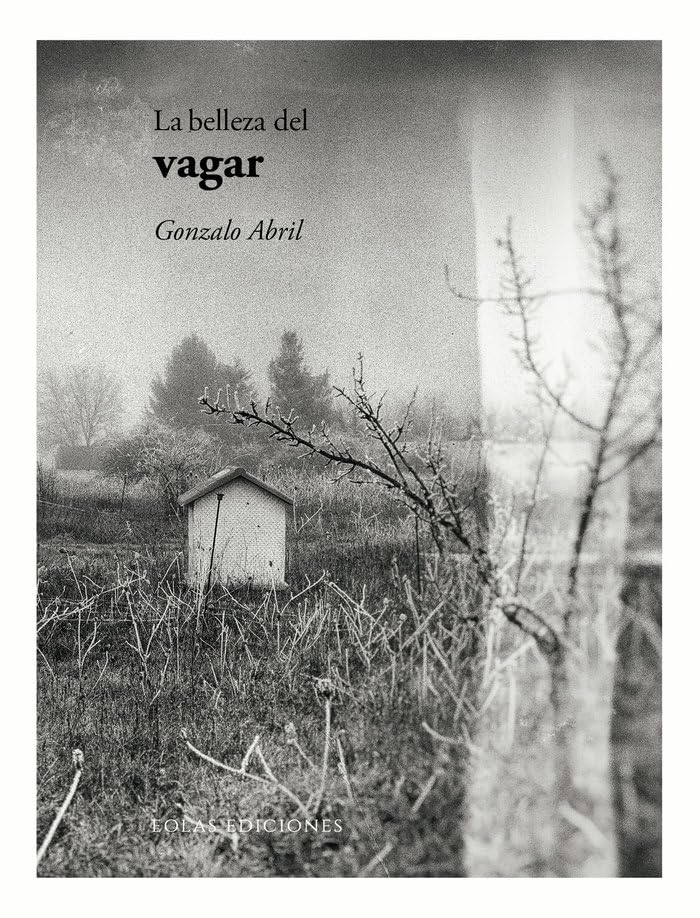 La belleza del vagar: 6 (De la belleza)
