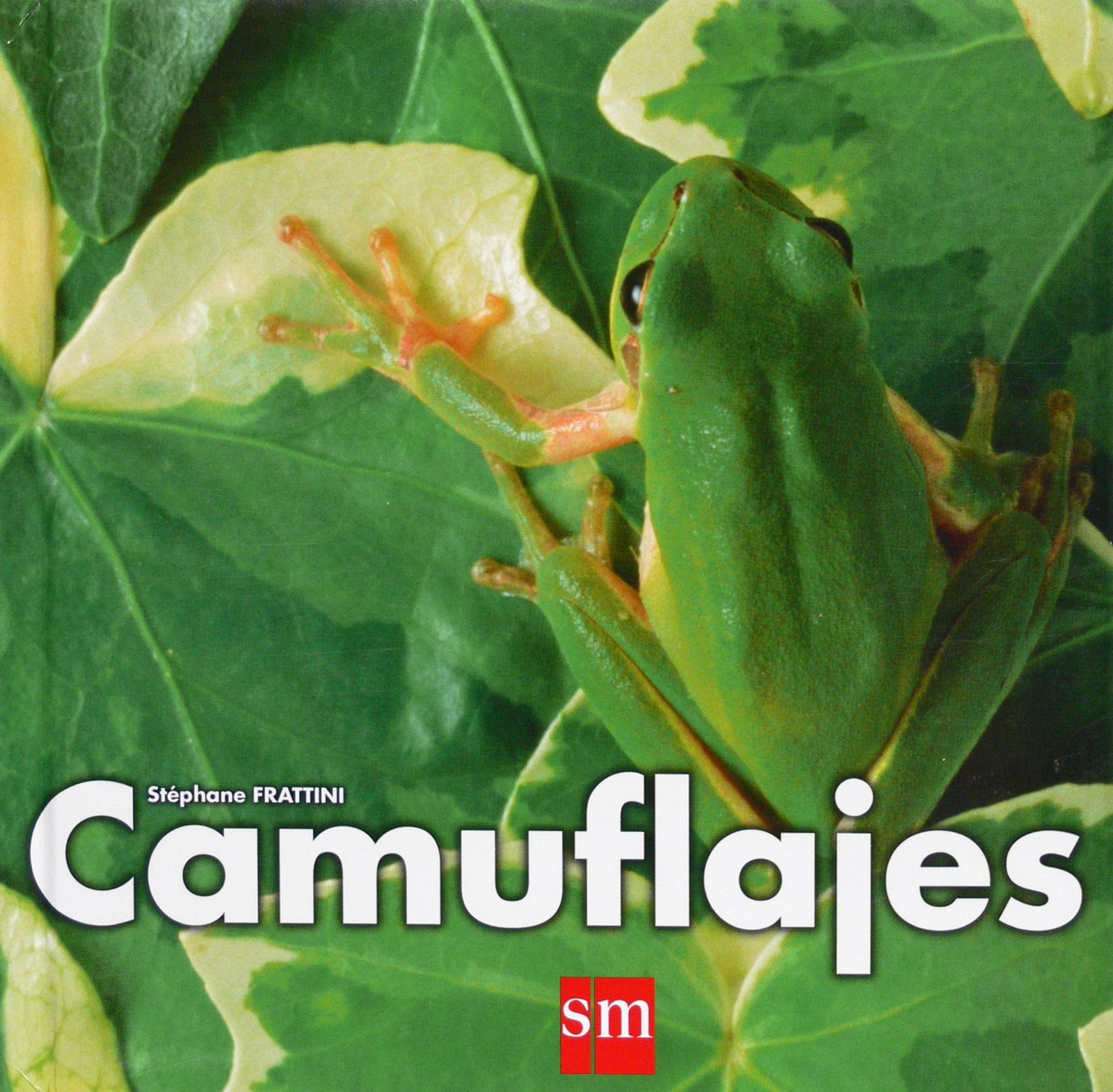 Camuflajes (Abre los ojos)