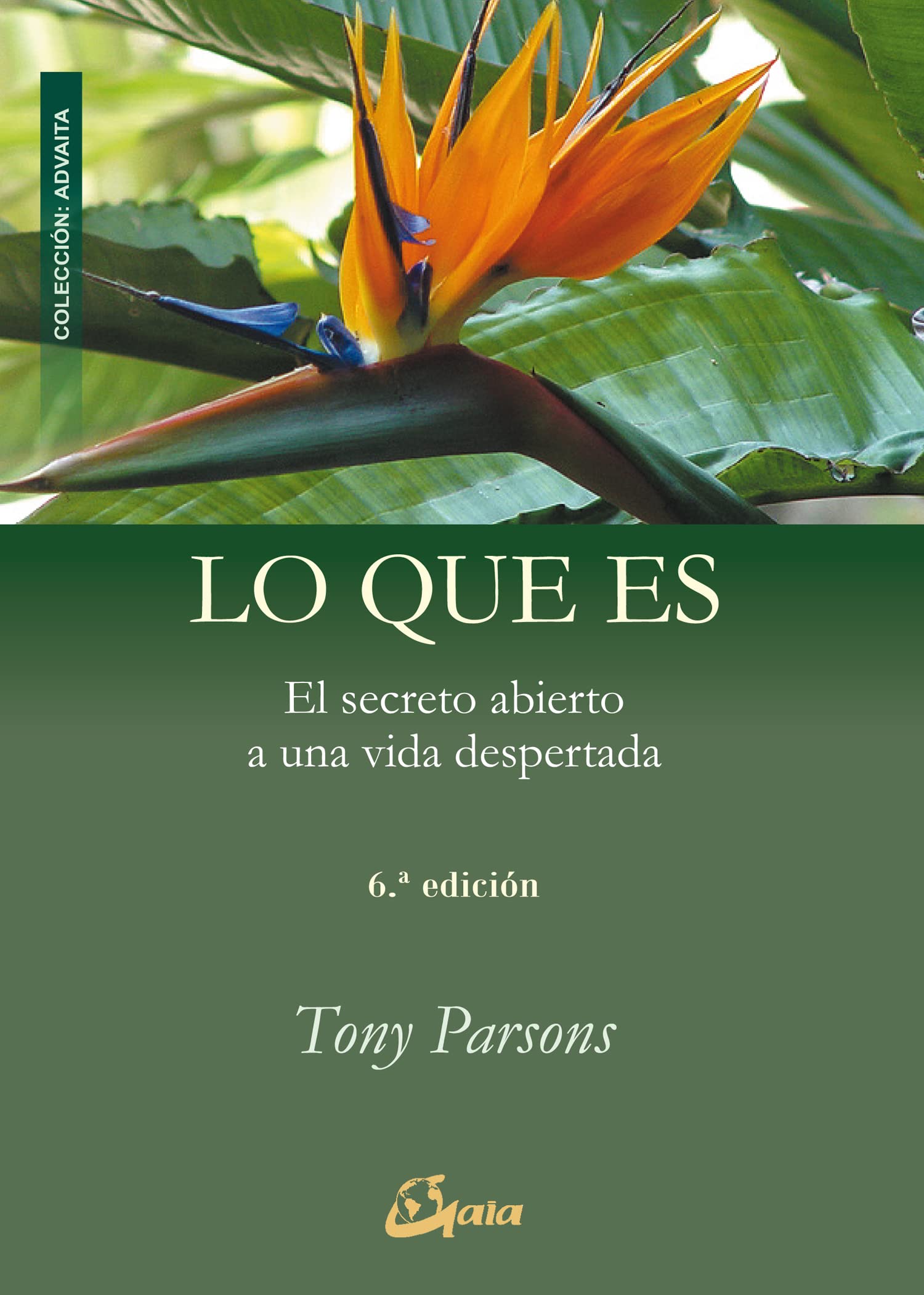 Lo Que Es: El secreto abierto a una vida despertada (Advaita)