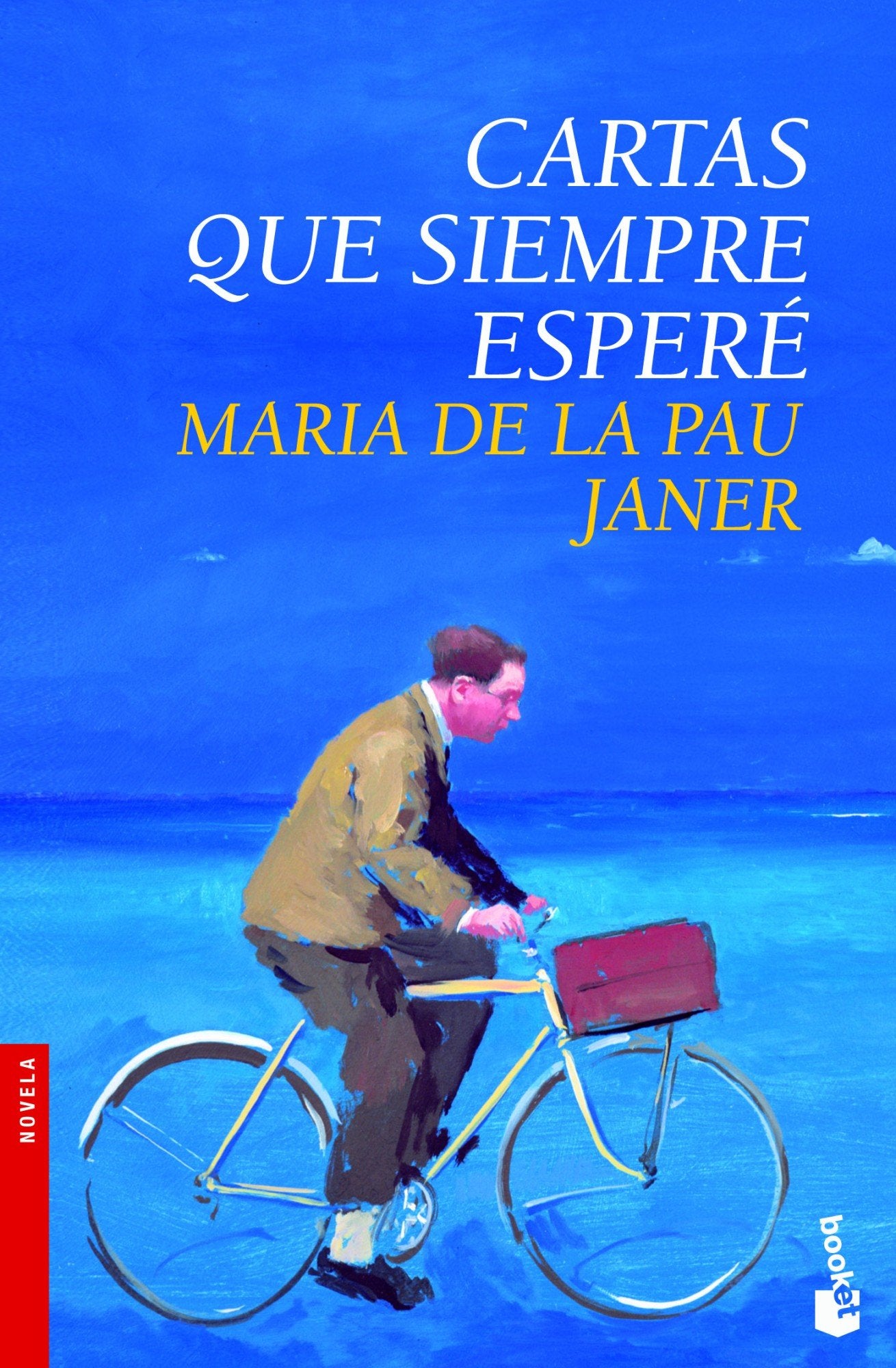Cartas que siempre esperé (Novela)
