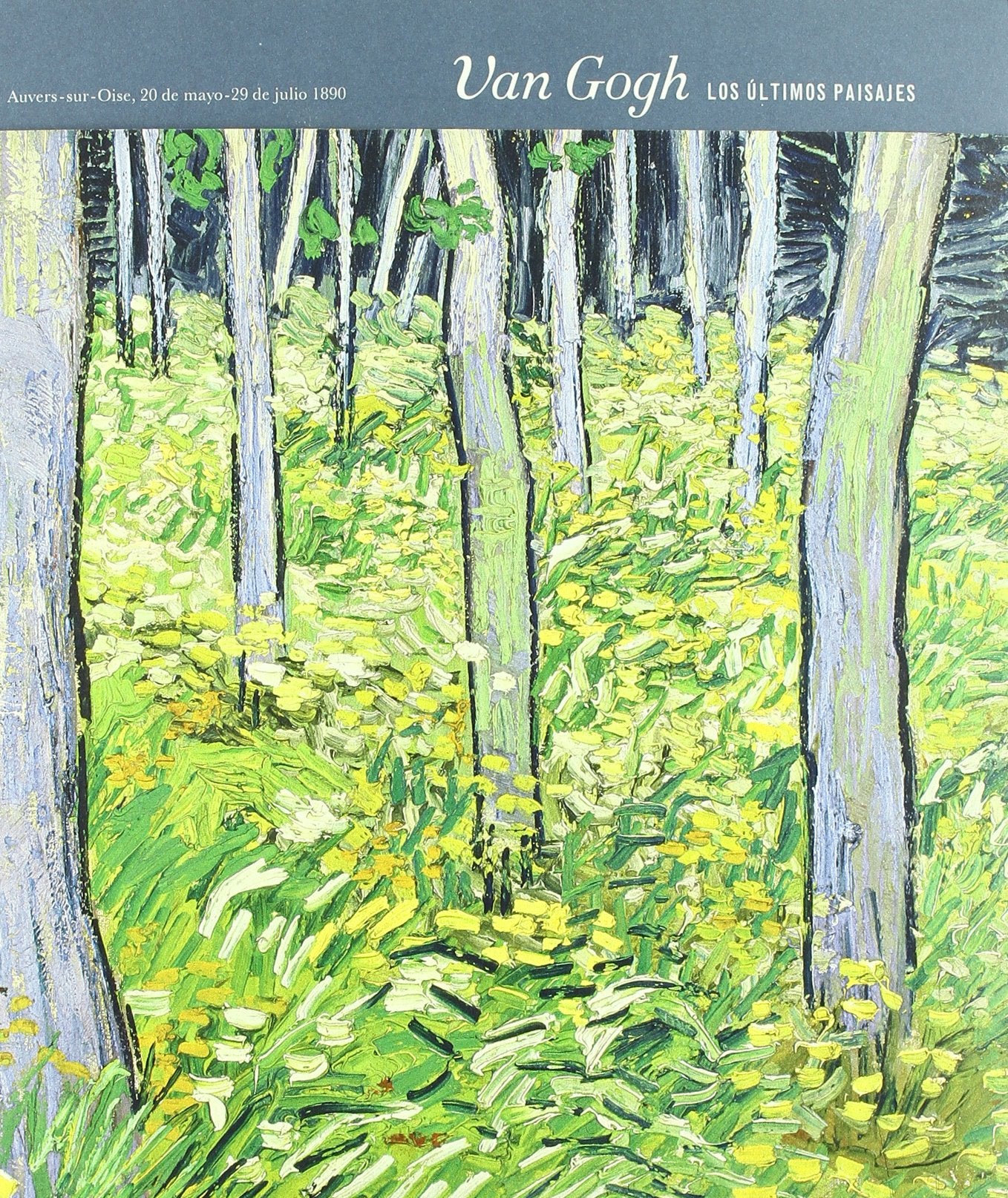 Van Gogh, Los últimos paisajes