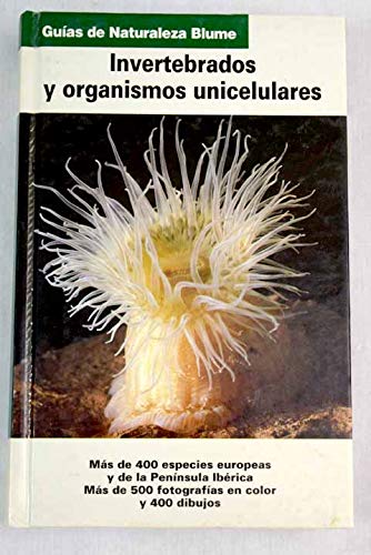 Gu¡a Naturaleza. Invertebrados y organismos unicelulares (Guía Naturaleza)
