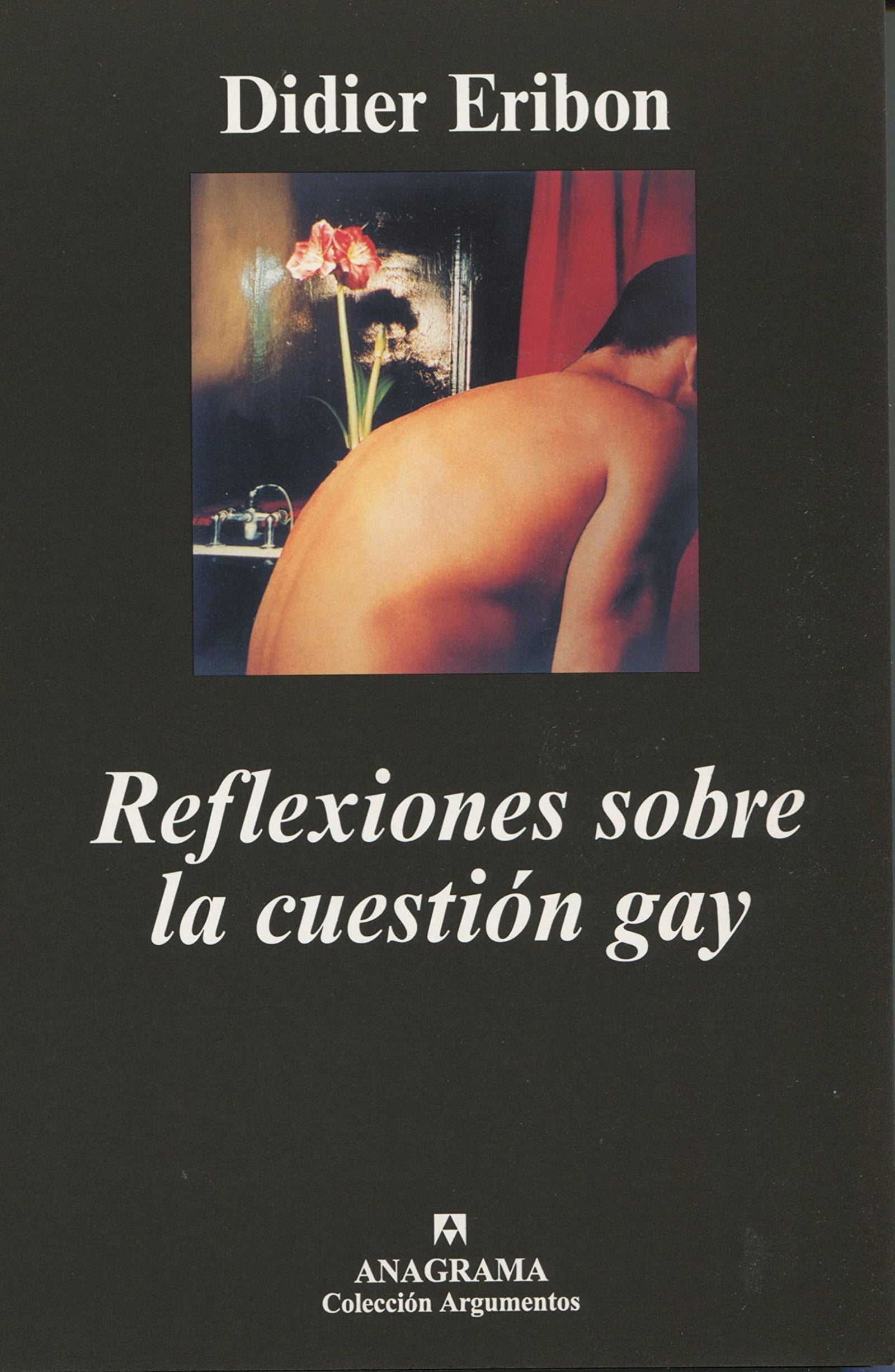 Reflexiones sobre la cuestión gay: 259 (Argumentos)