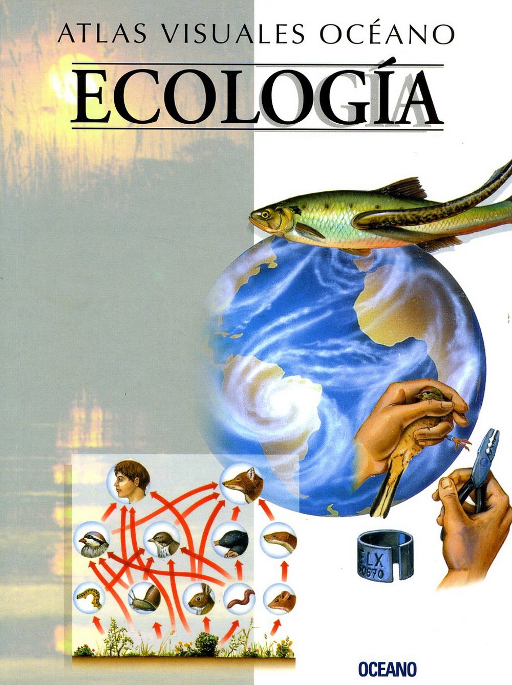 ATLAS VISUAL ECOLOGIA: Obra a todo color, de fácil consulta y gran valor didáctico (Atlas visuales Océano)
