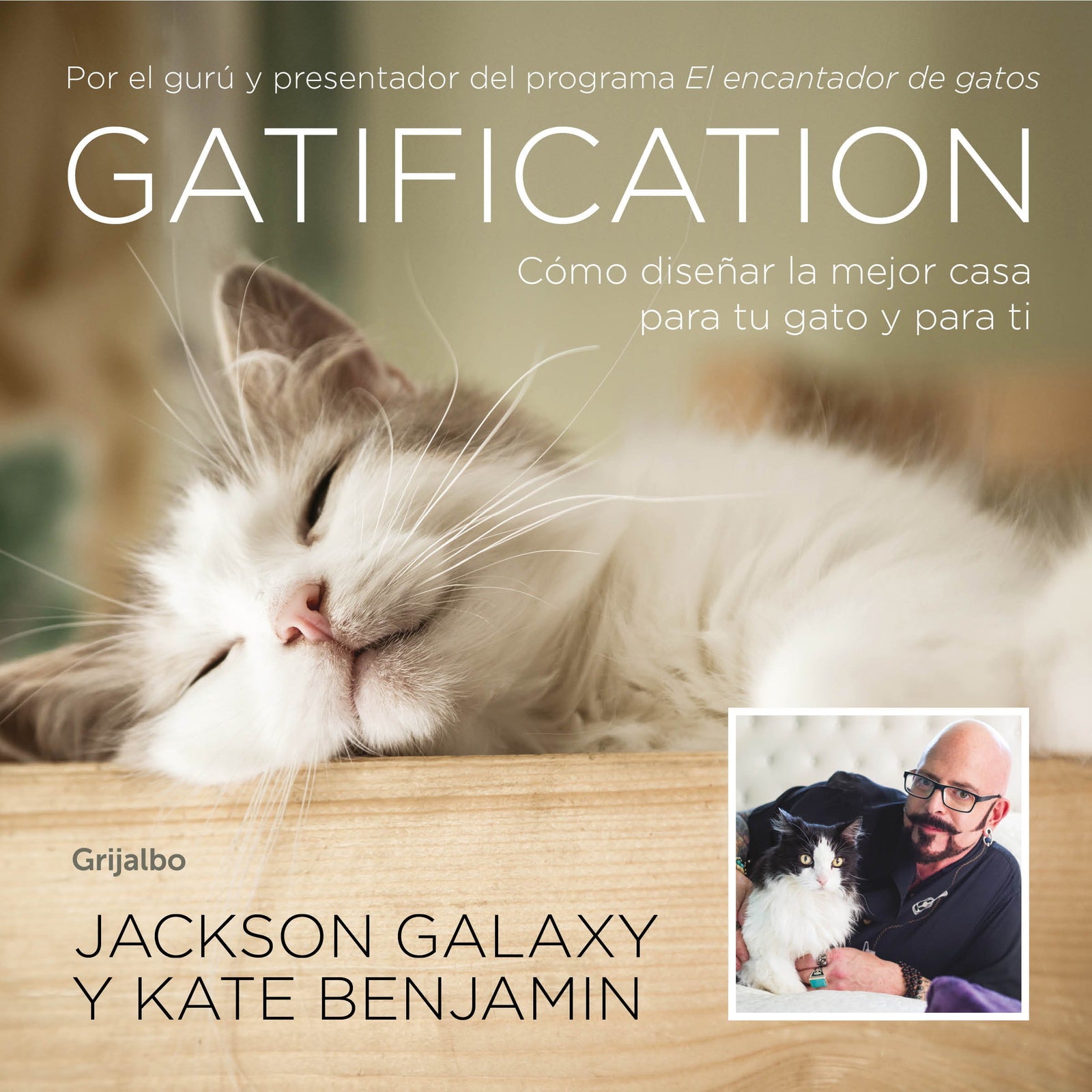 Gatification: Cómo diseñar la mejor casa para tu gato y para ti. Por el gurú y presentador del programa 