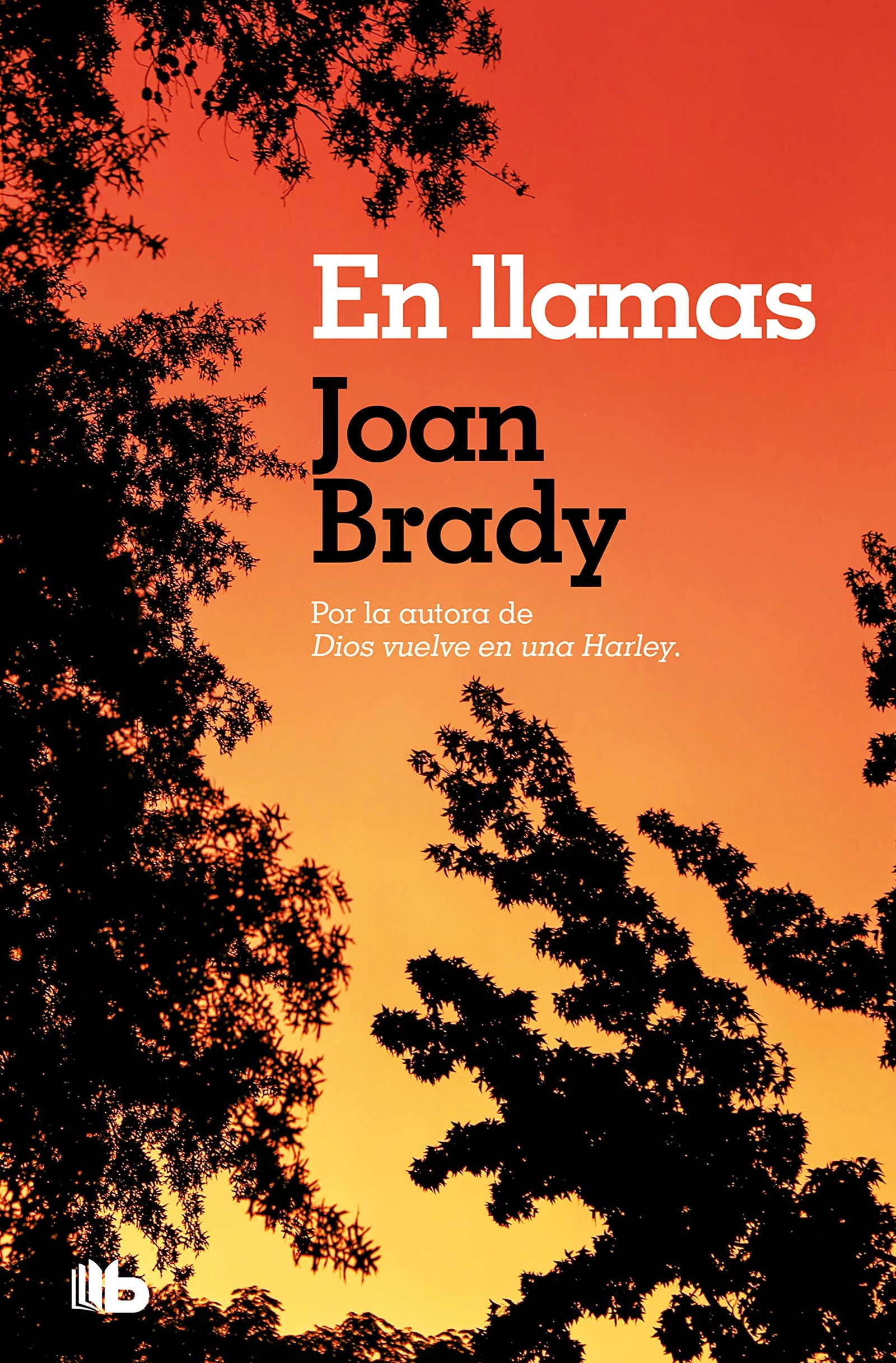 En llamas (Ficción)