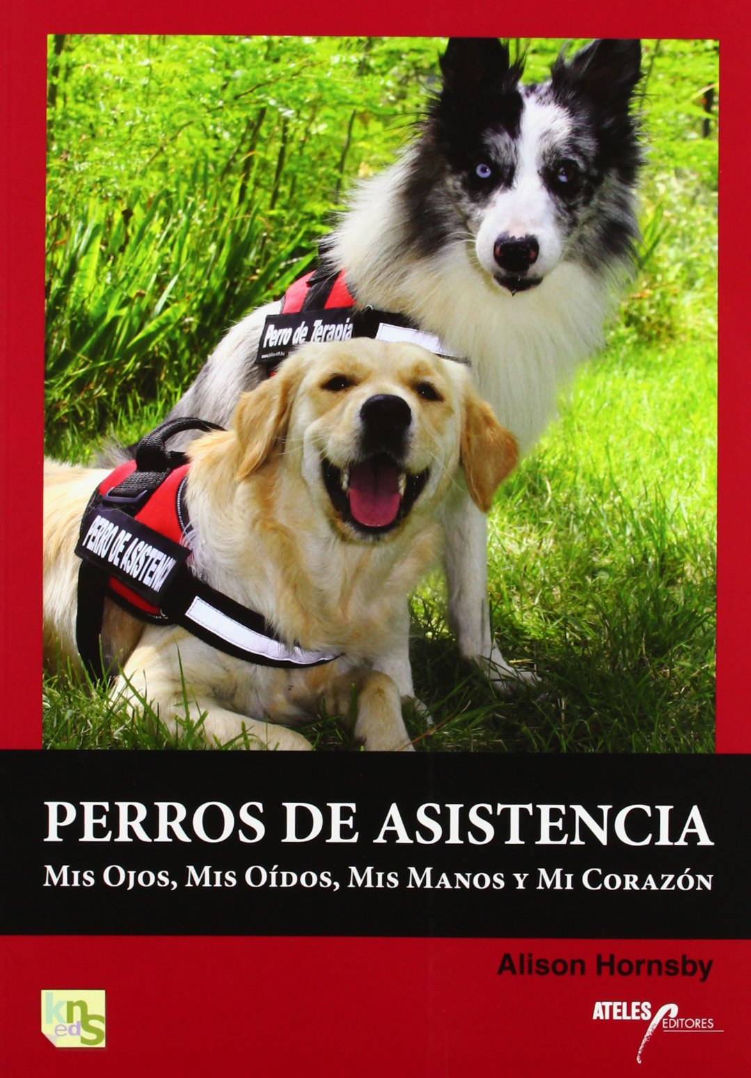 Perros de asistencia: mis ojos, mis oídos, mis manos y mi corazón