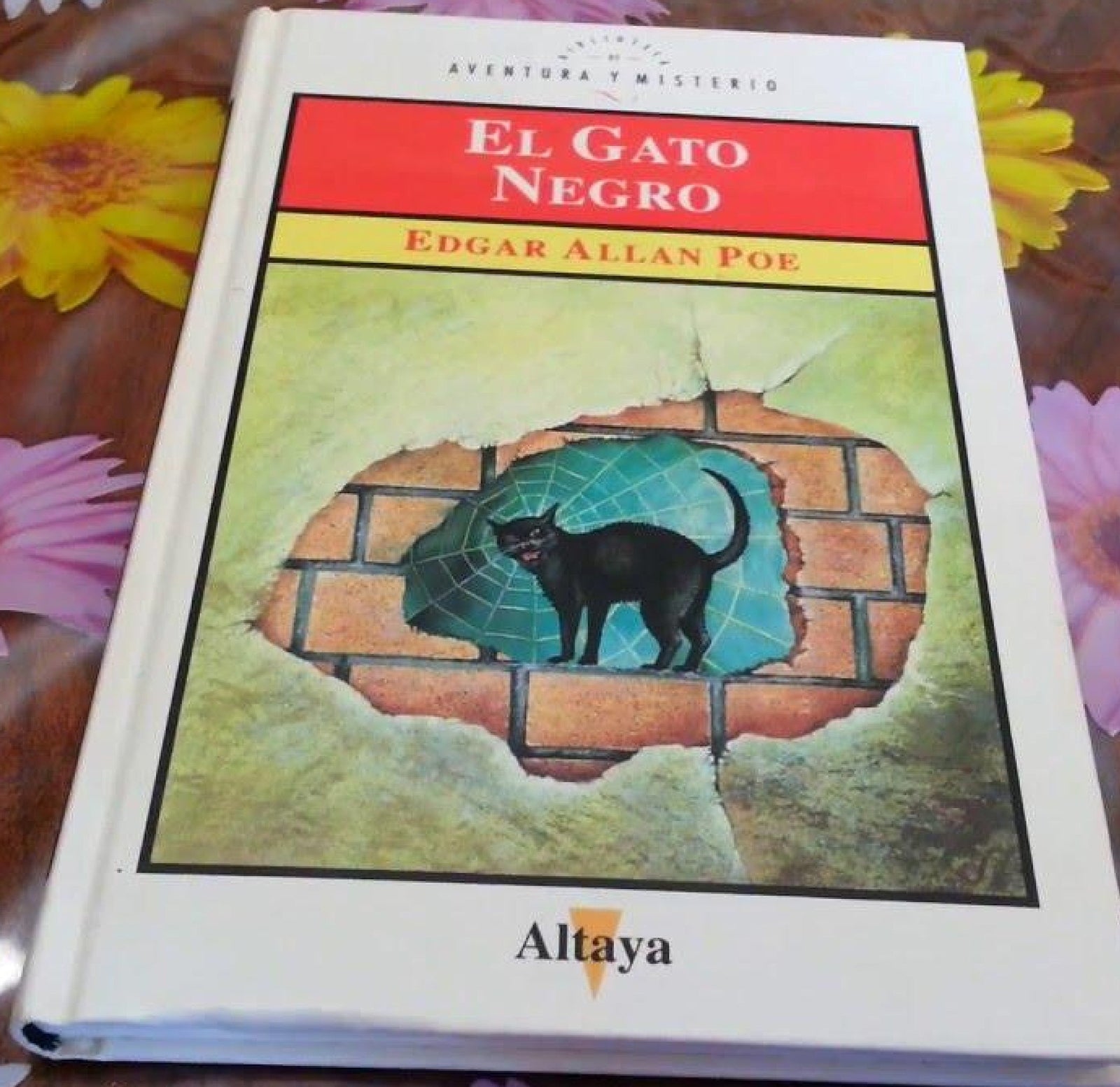 Gato negro, el
