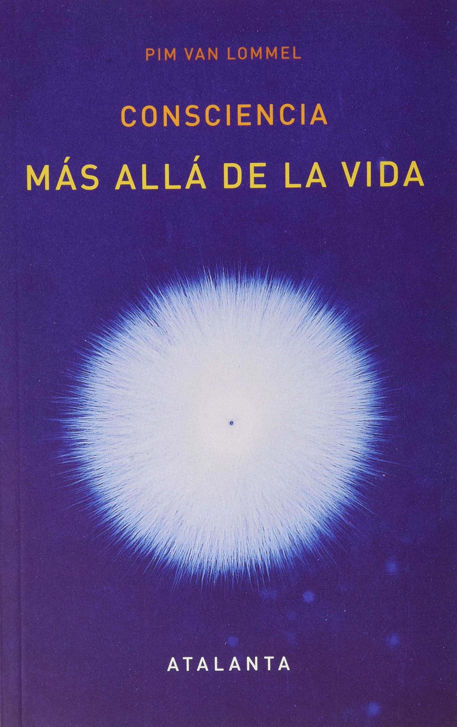 Consciencia más allá de la vida