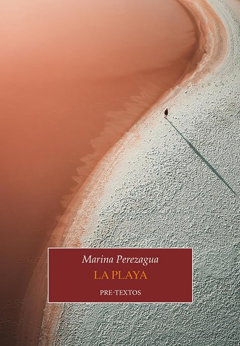 La playa: 1891 (Narrativa)