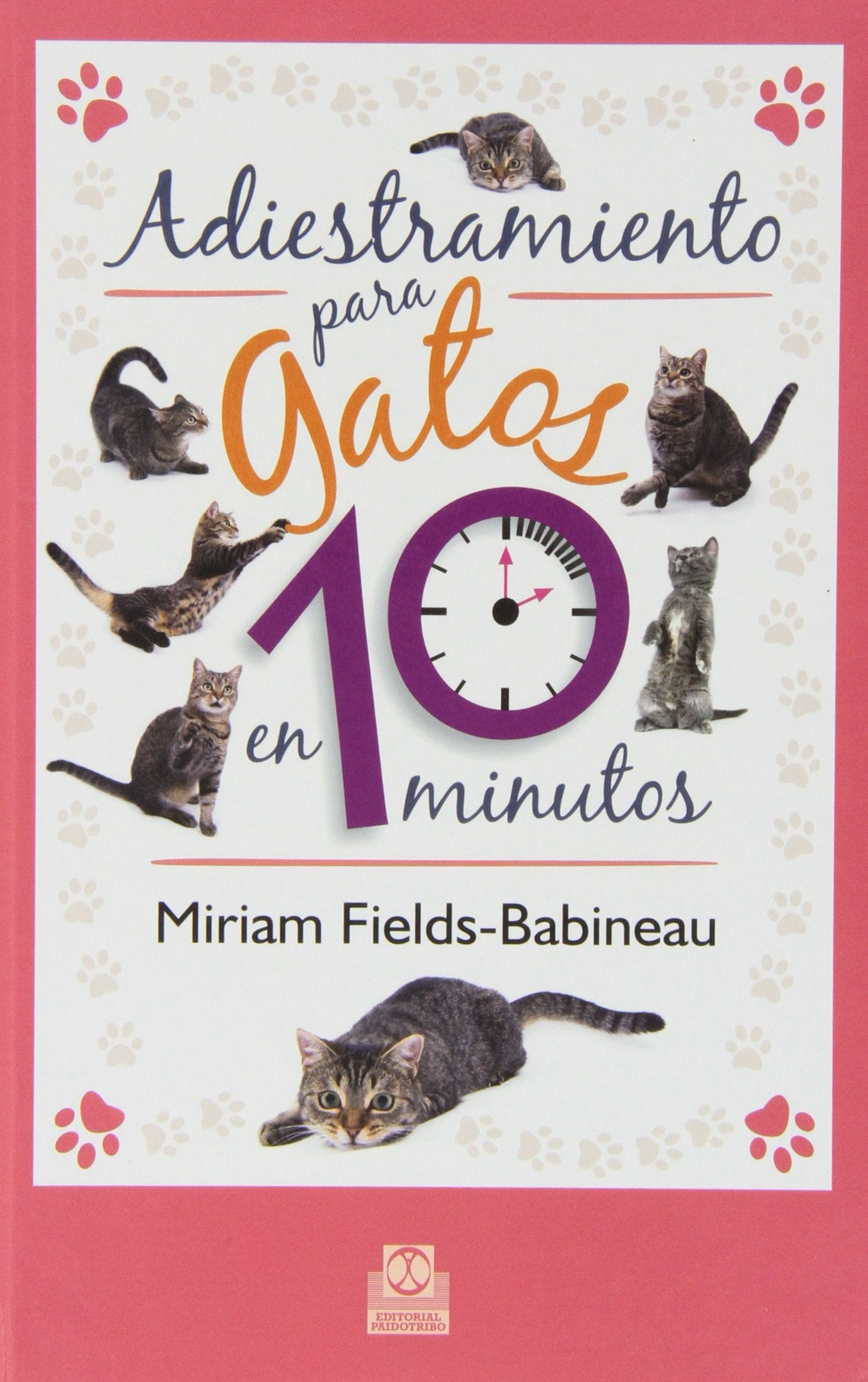 Adiestramiento para gatos en 10 minutos