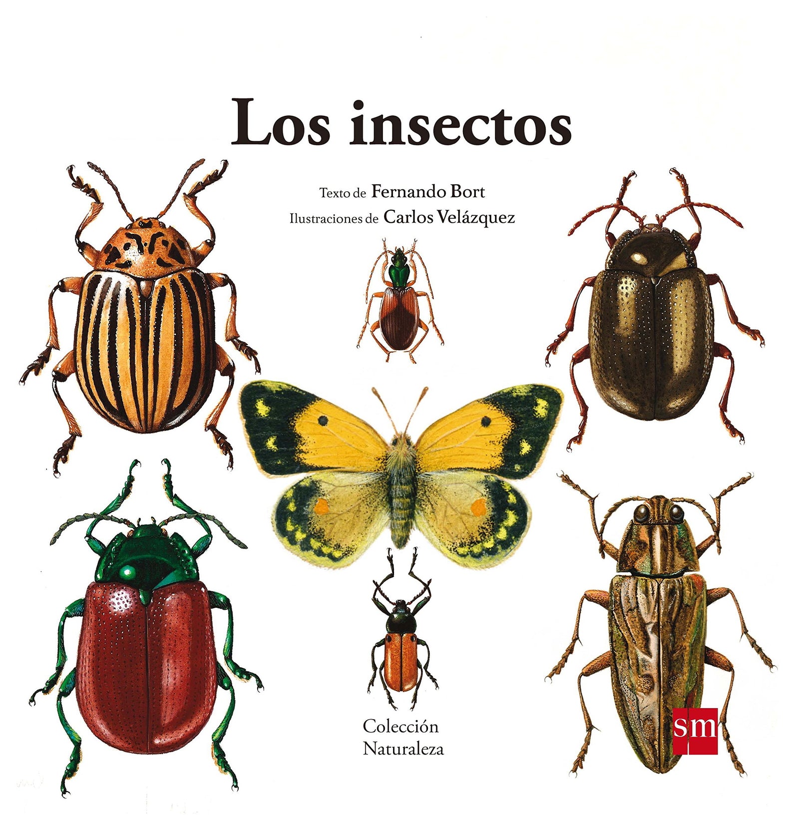 Los insectos: 5 (Naturaleza)