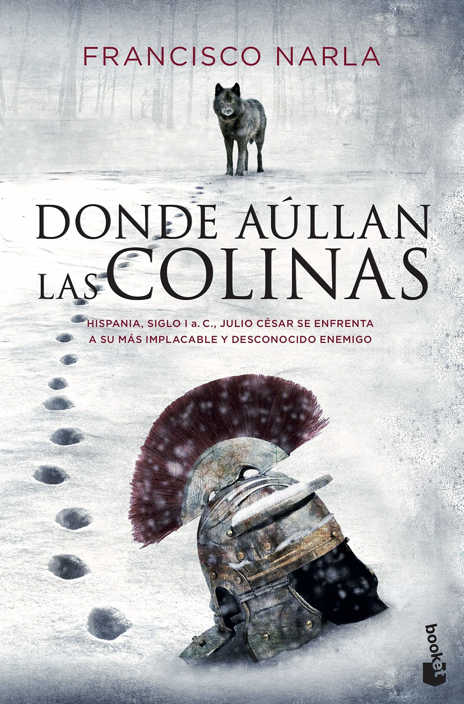 Donde aúllan las colinas (Novela histórica)