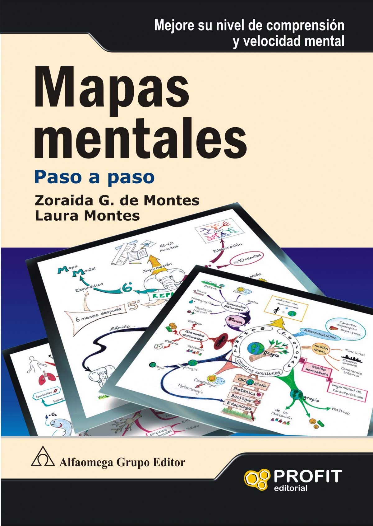 Mapas mentales: Paso a Paso (SIN COLECCION)