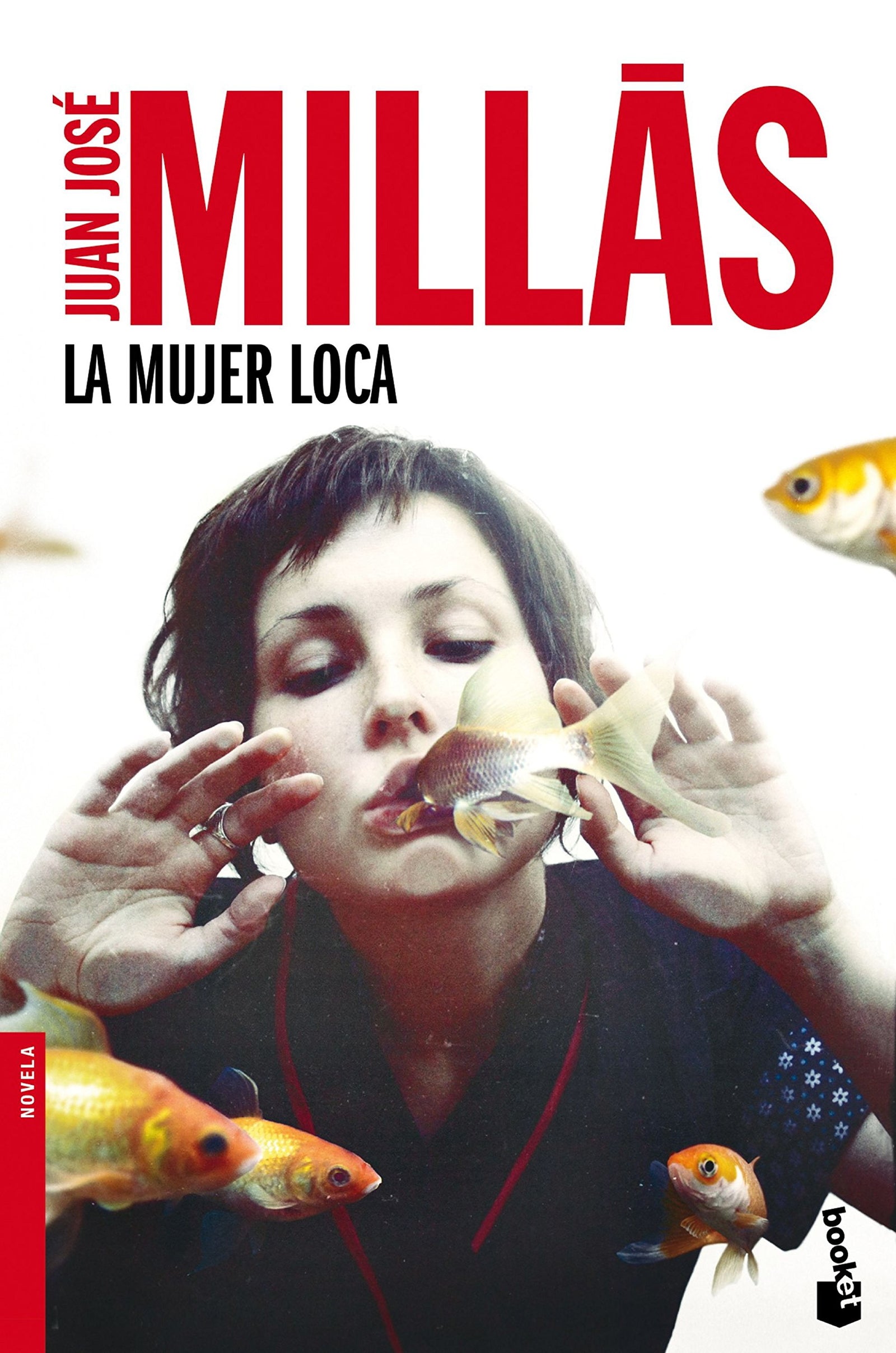 La mujer loca (Novela)