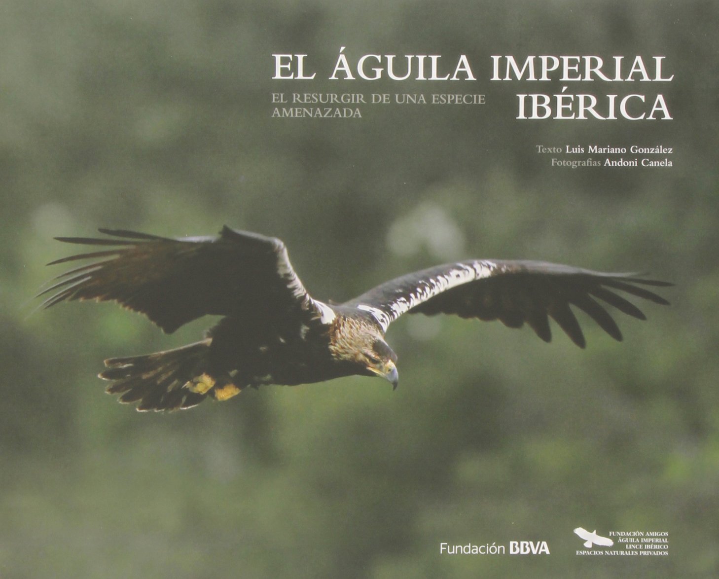El águila imperial ibérica