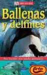 Abre los ojos: ballenas y delfines