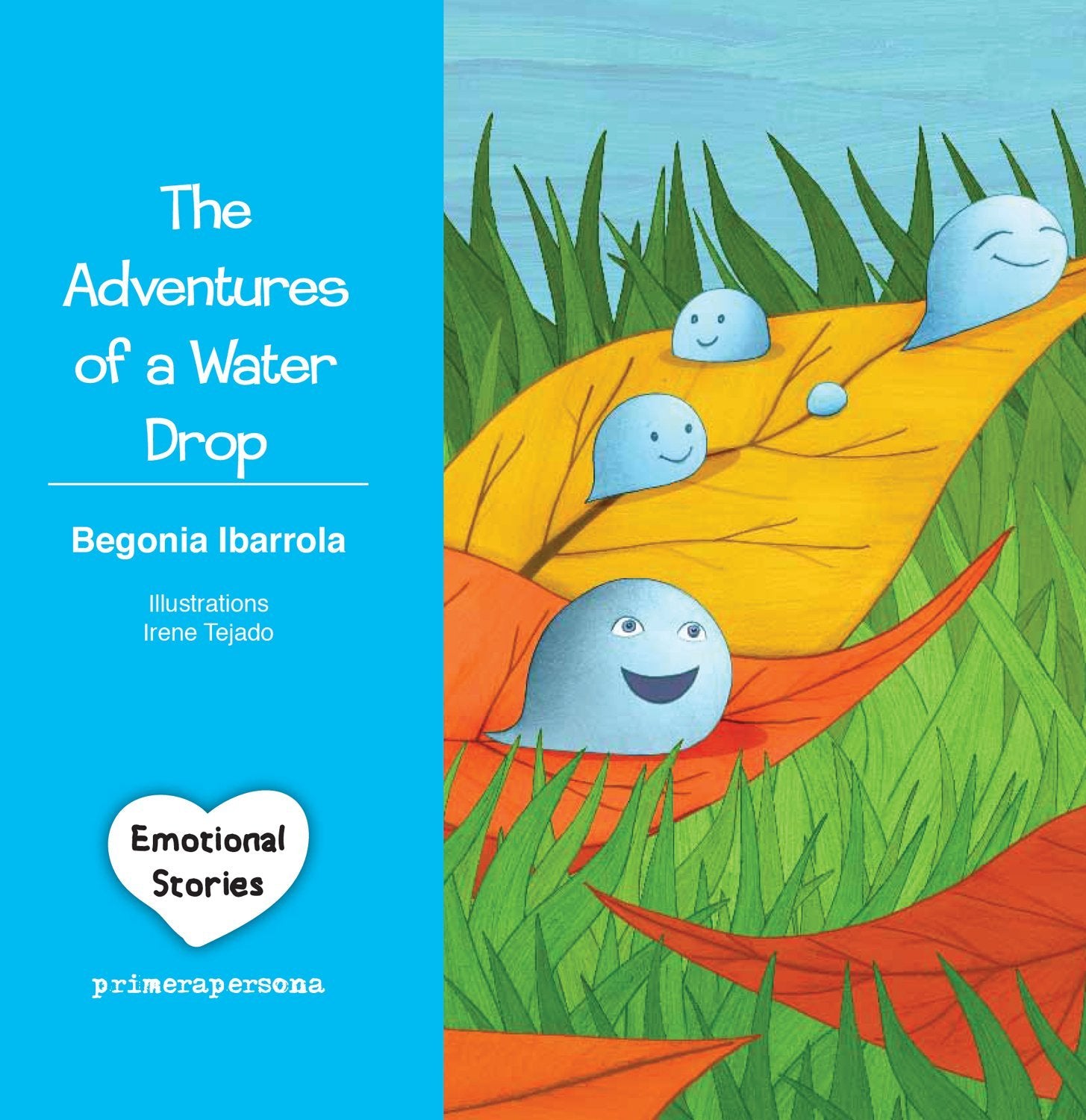 The Adventures of a water Drop