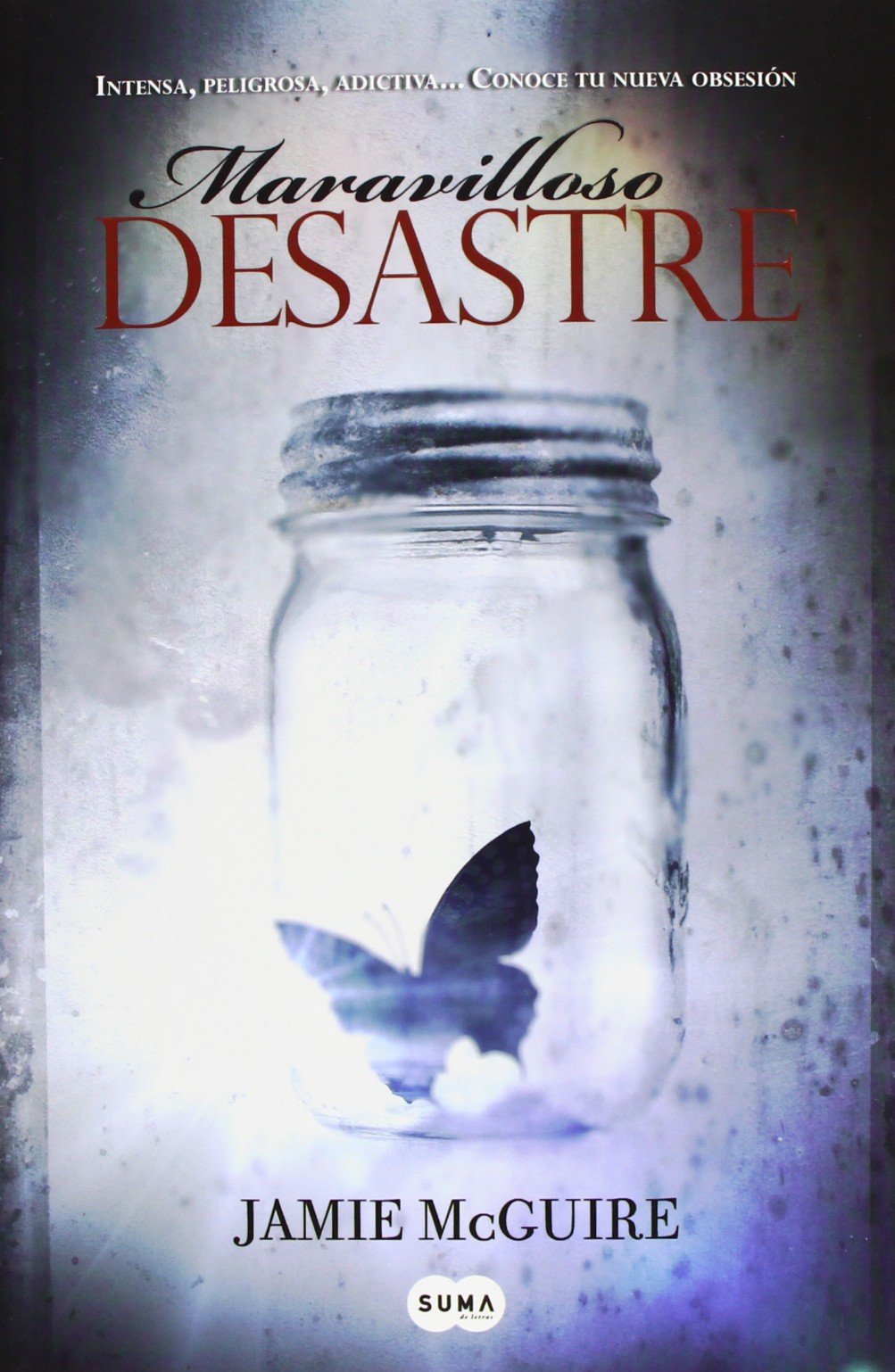 Maravilloso desastre (Beautiful 1)