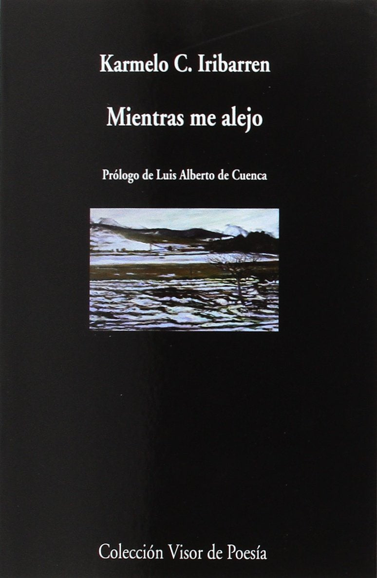 Mientras me alejo: 1001 (visor de Poesía)