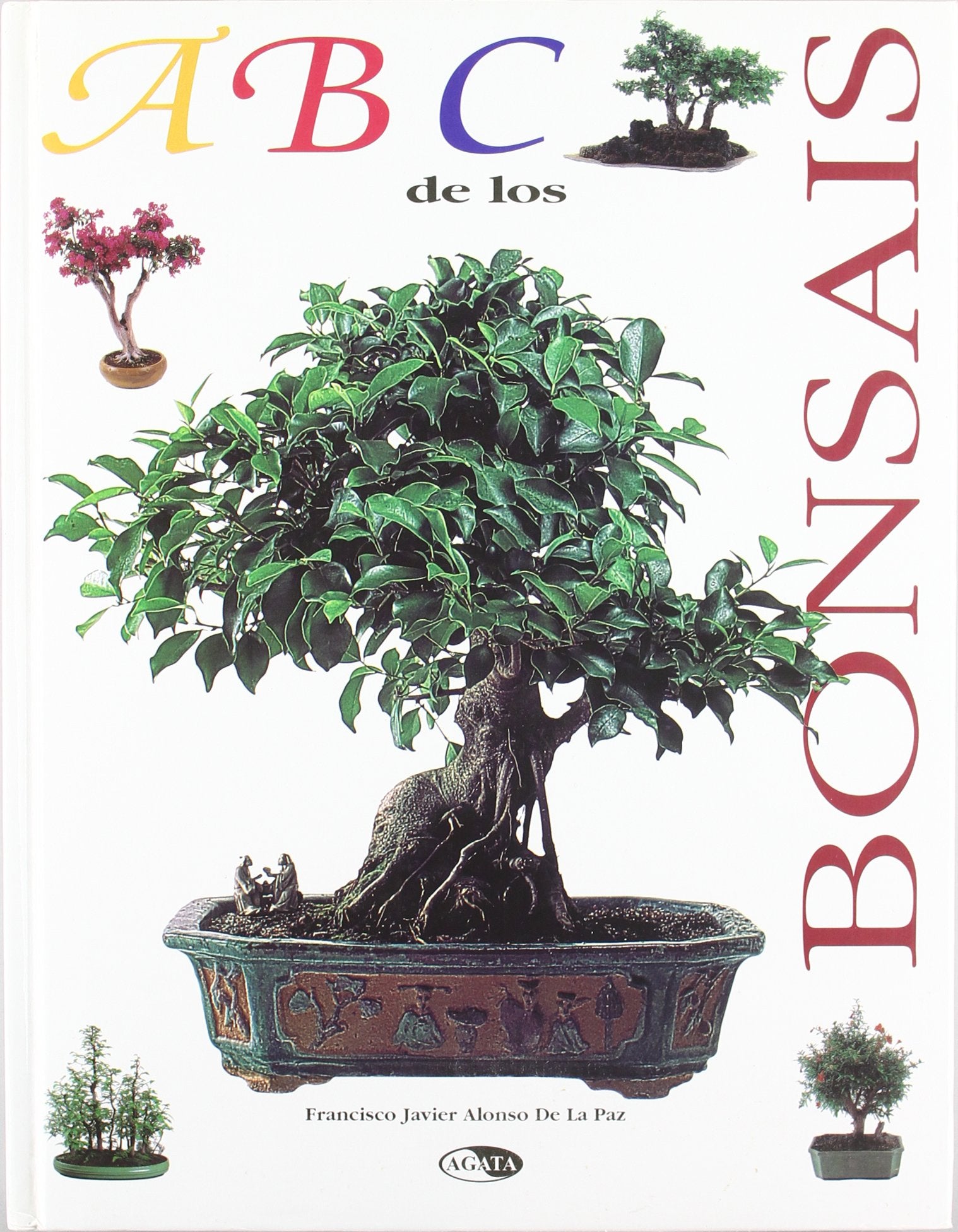 ABC DE LOS BONSAIS (SIN COLECCION)