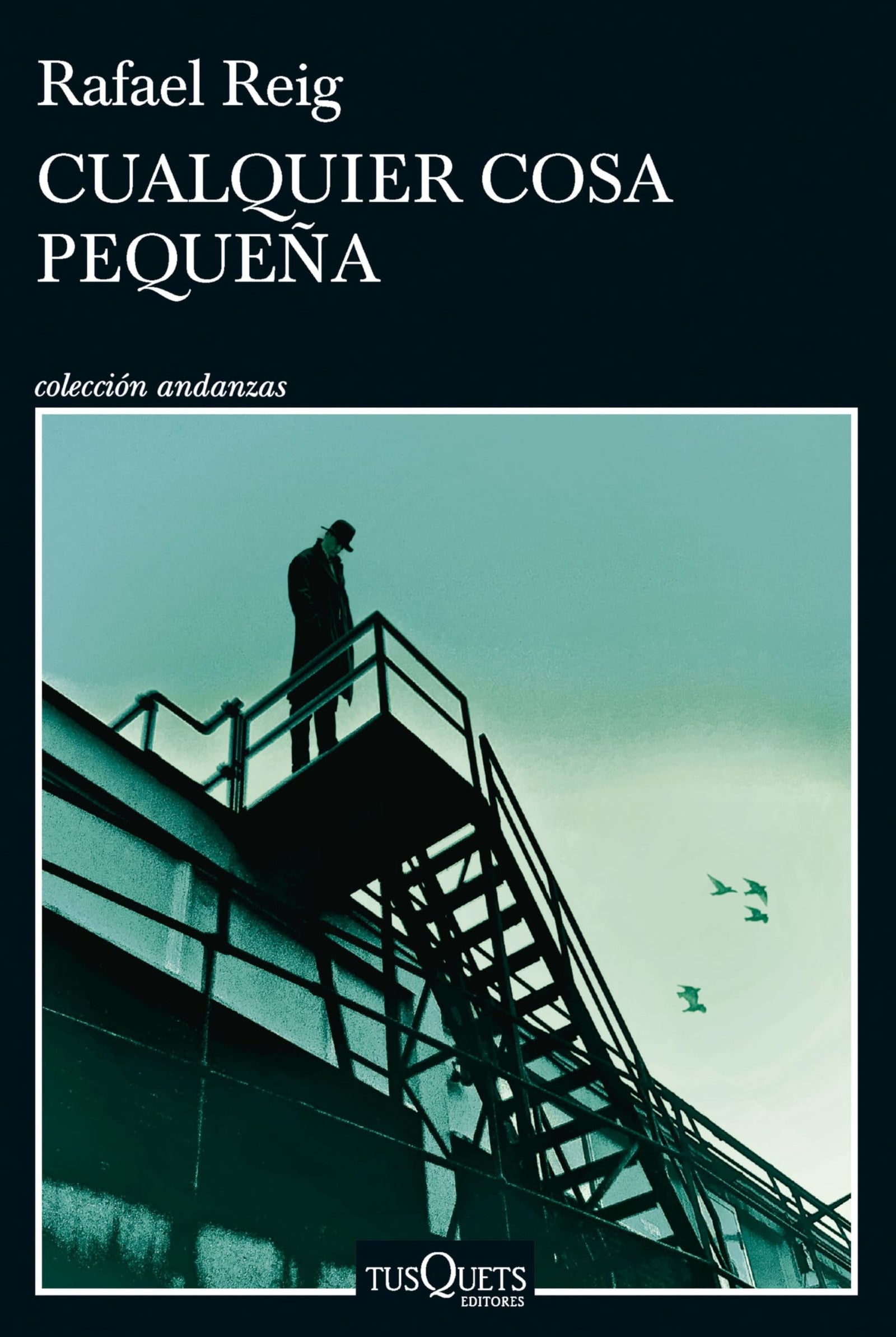 Cualquier cosa pequeña (Andanzas)
