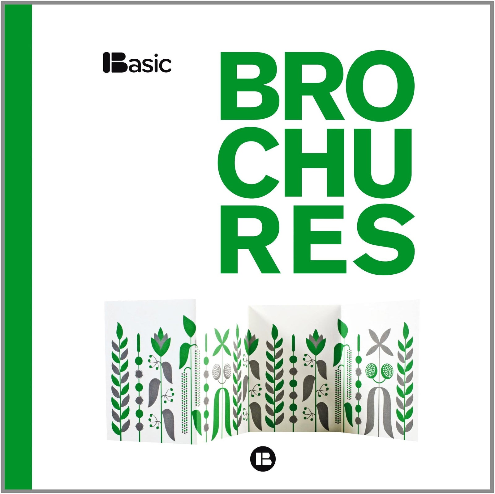 Basic Brochures