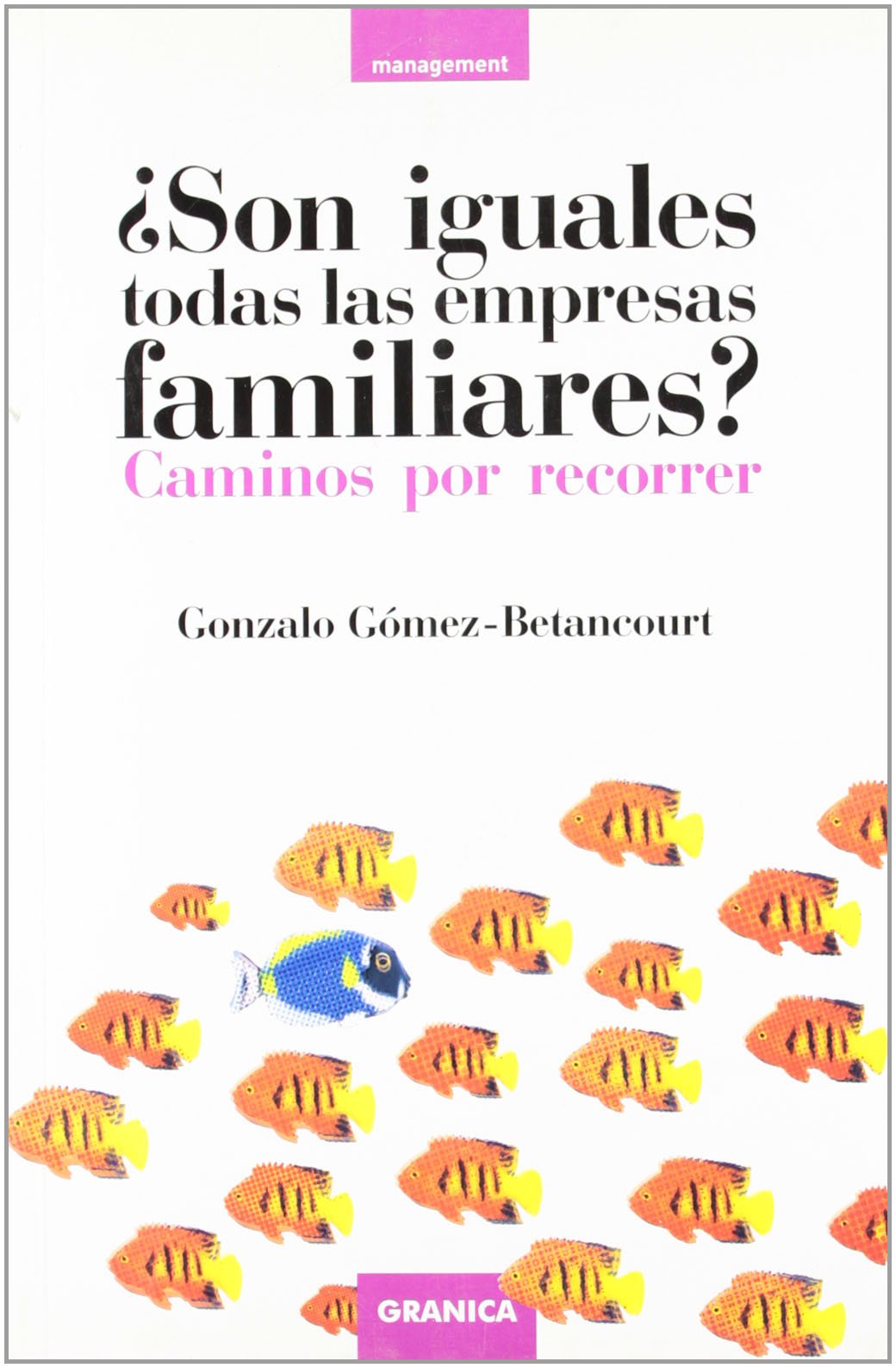 ¿Son iguales todas las empresas familiares? : caminos por recorrer