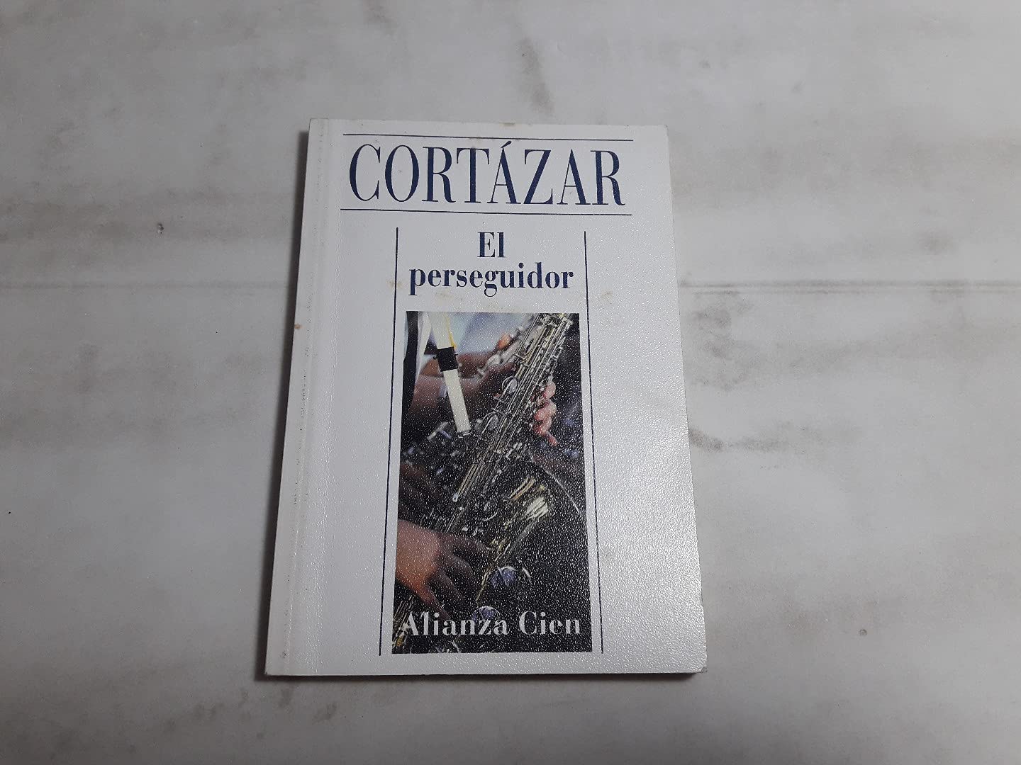 El persiguidor / The Persecutor