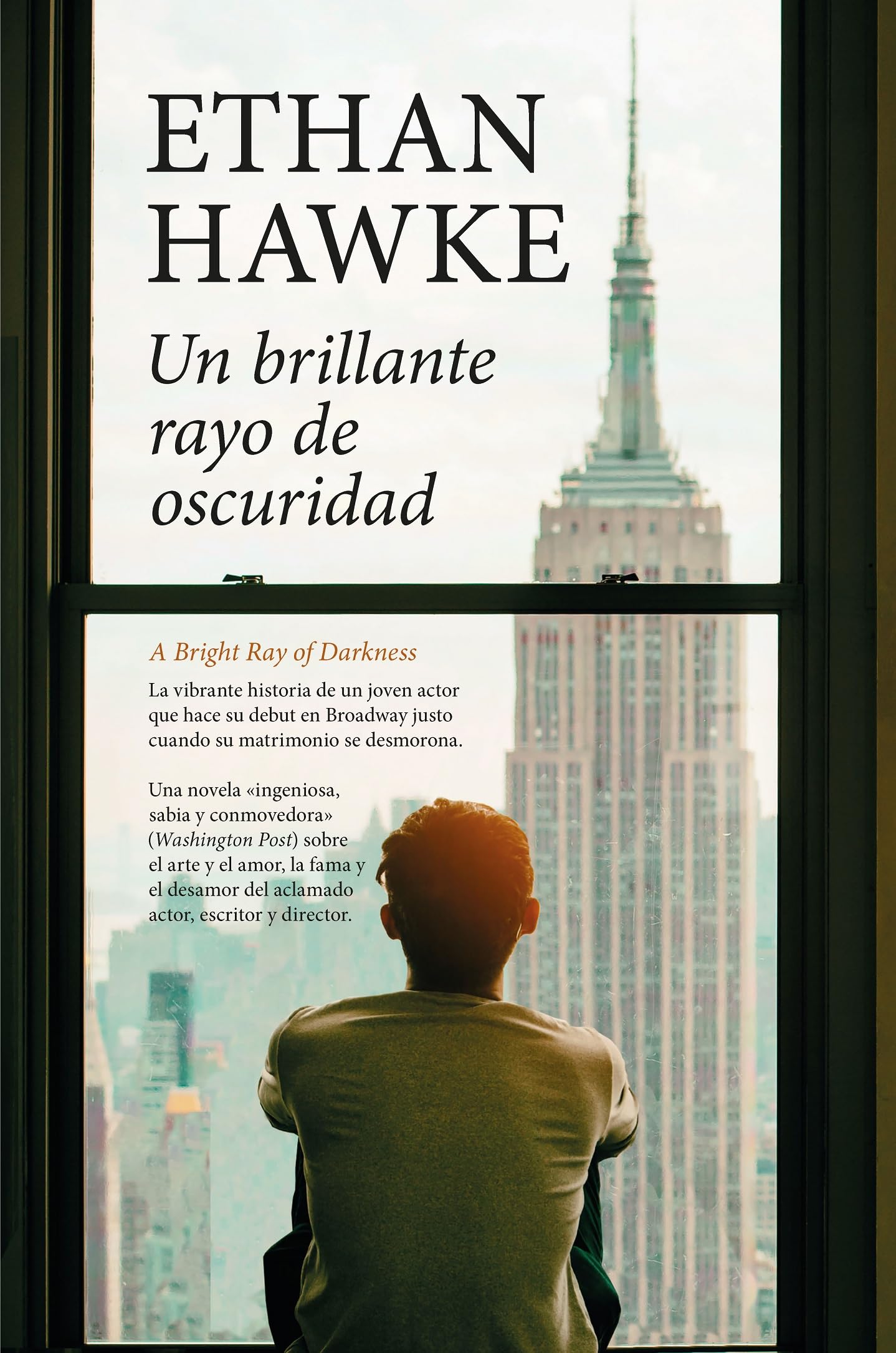 UN BRILLANTE RAYO DE OSCURIDAD (Contemporáneos)