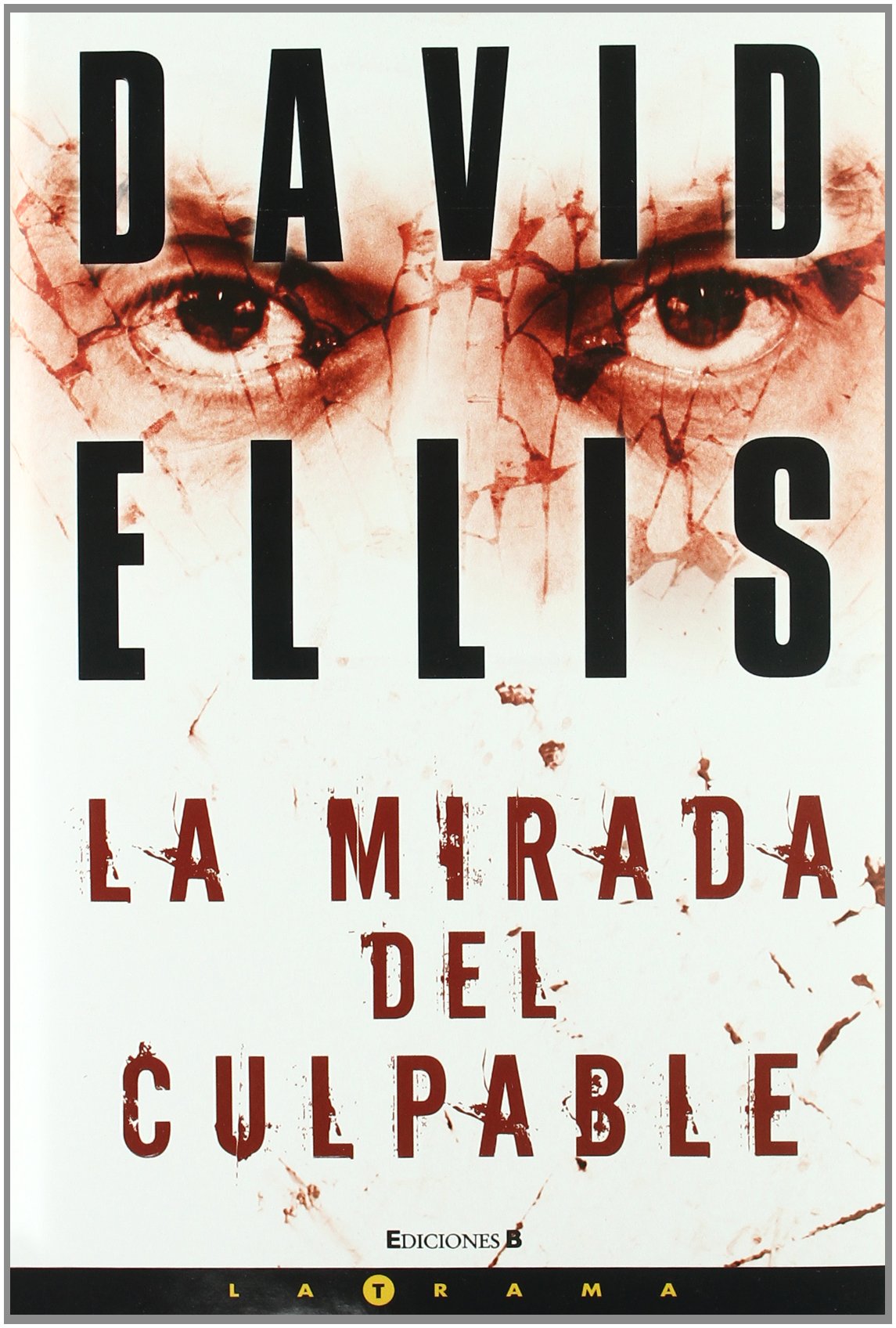 LA MIRADA DEL CULPABLE