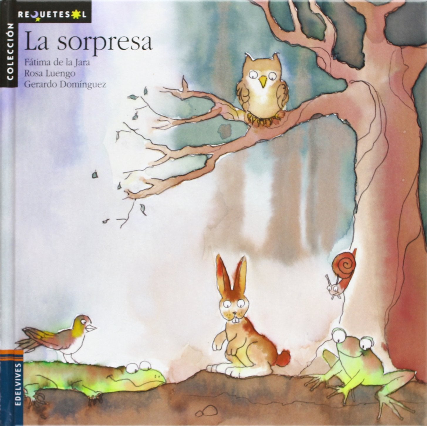 La sorpresa (Requetesol)