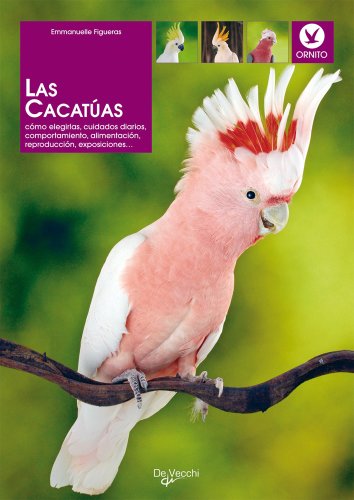 Las cacatúas (Animales)