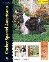 Cocker Spaniel Americano (Excellence)