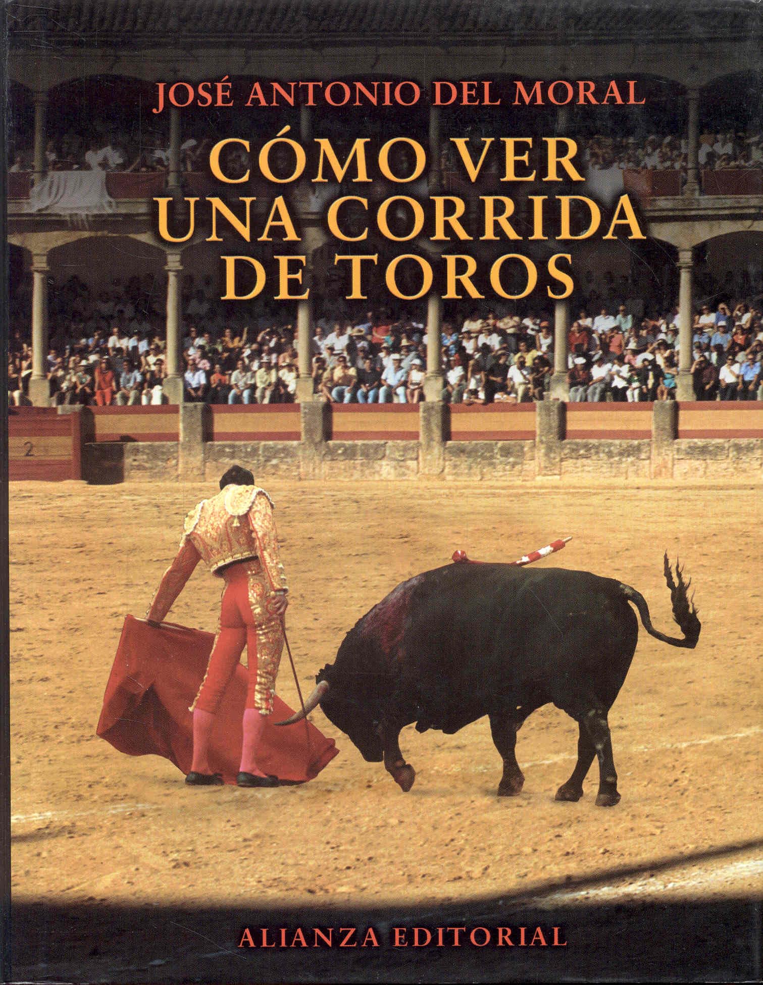 COMO VER UNA CORRIDA DE TOROS-ALIANZA (LIBROS SINGULARES (LS))
