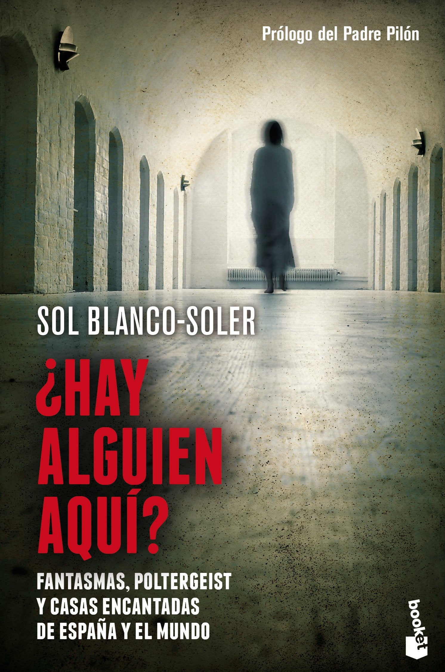 ¿Hay alguien aquí?: Fantasmas, Poltergeist y casas encantadas de España y el mundo (Divulgación)
