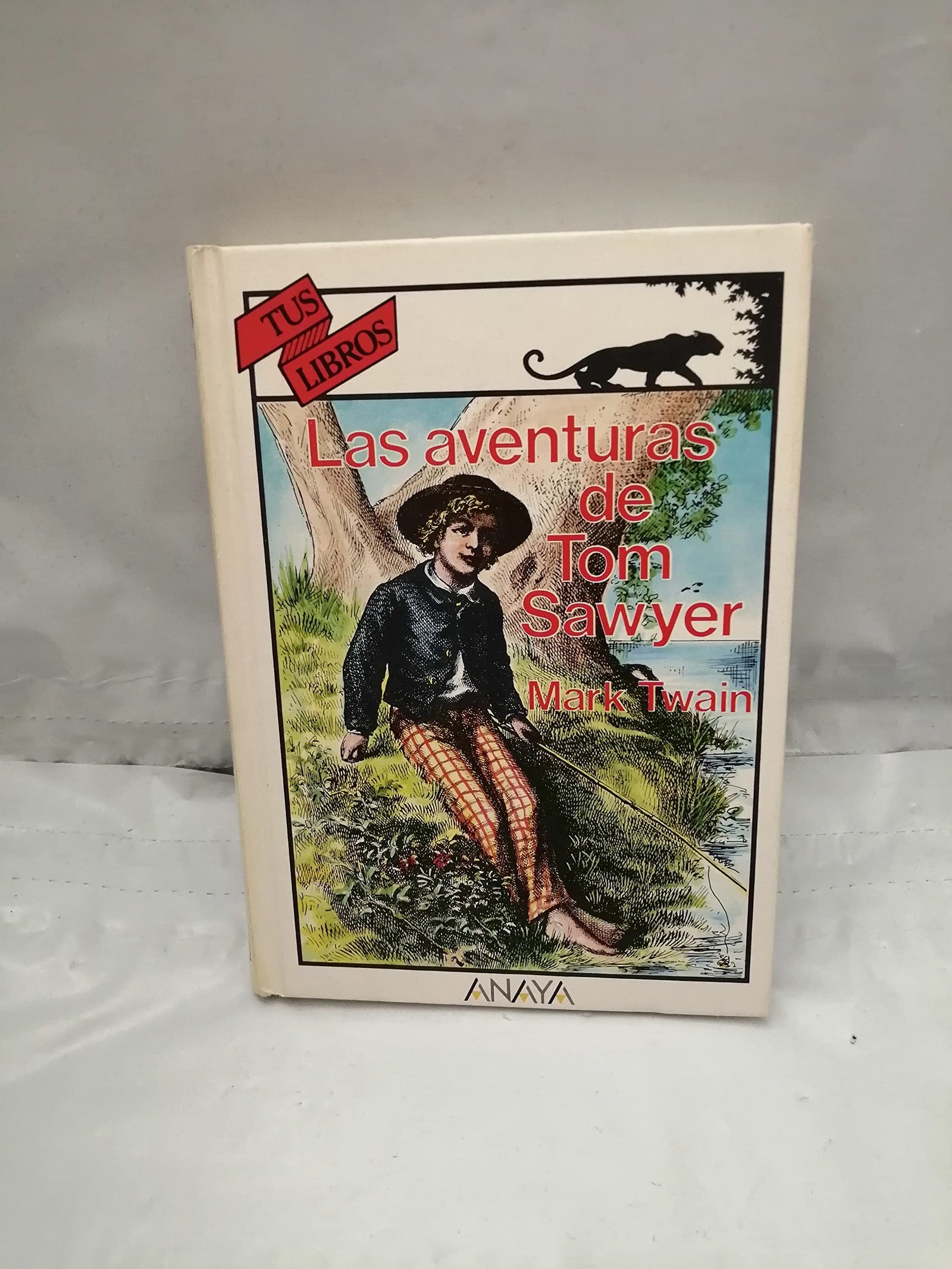 LAS Aventuras De Tom Sawyer