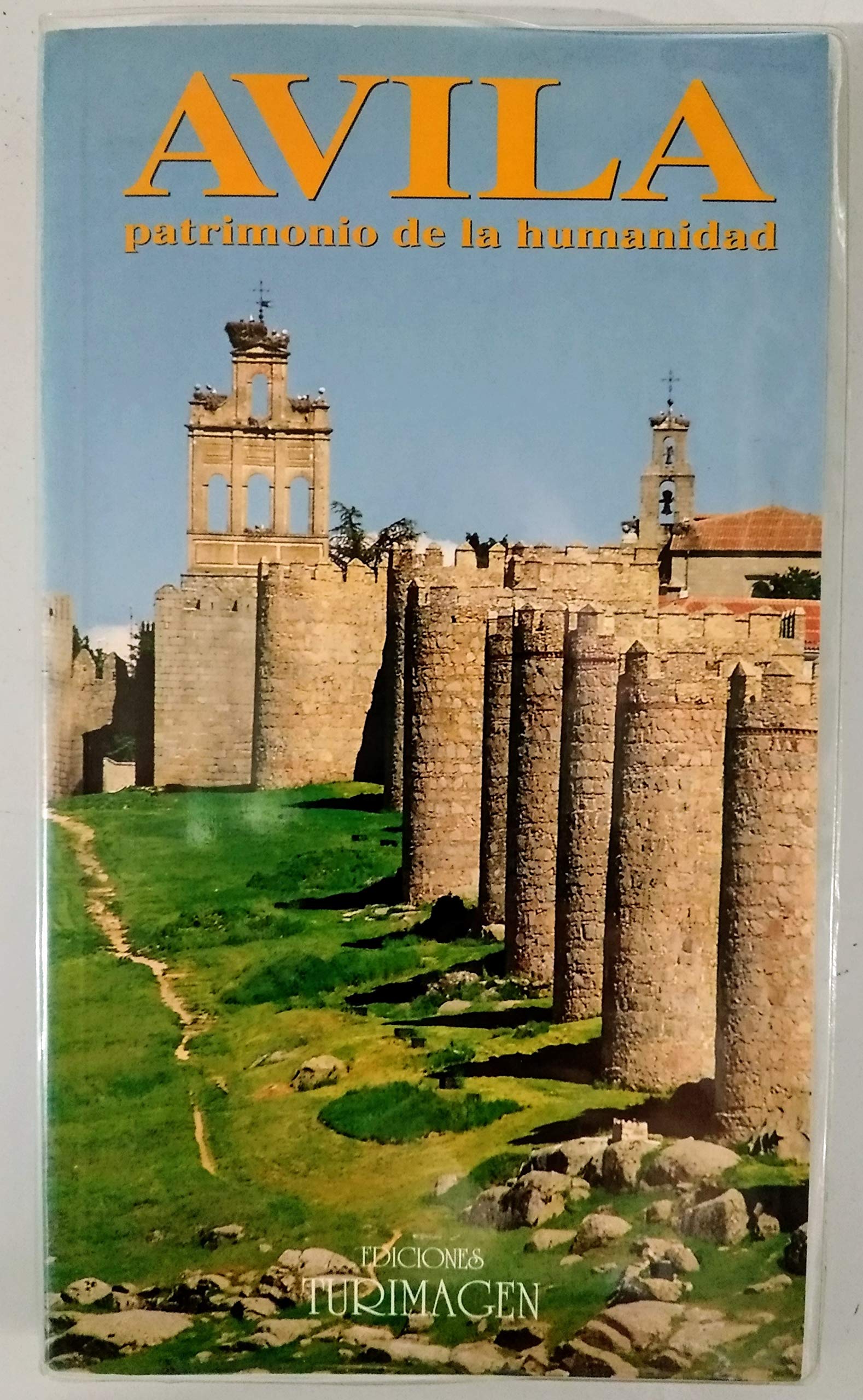 Avila, patrimonio de la humanidad [Unknown Binding] Unknown