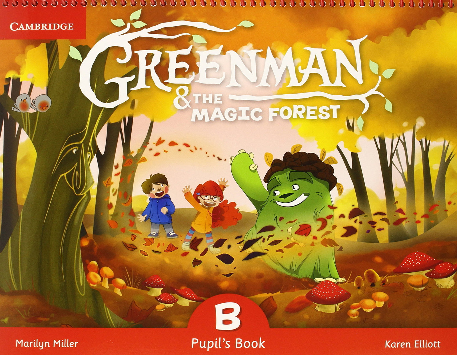 Greenman and the Magic Forest B Pupil's Book with Stickers and Pop-outs (SIN COLECCION)