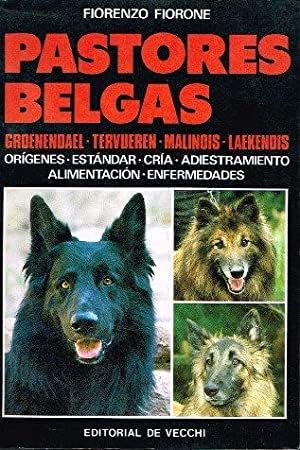 Pastores belgas