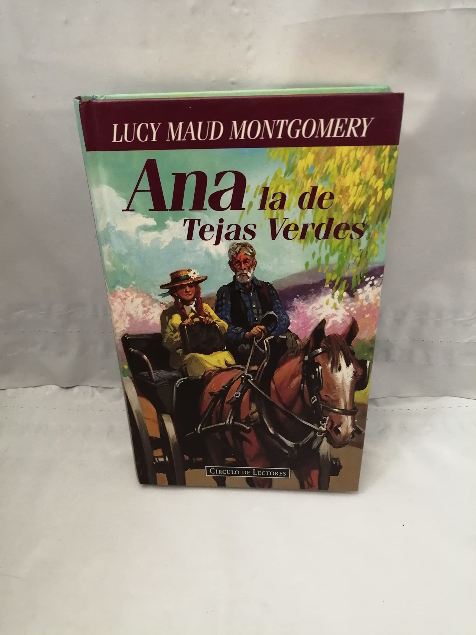 ANA LA DE TEJAS VERDES
