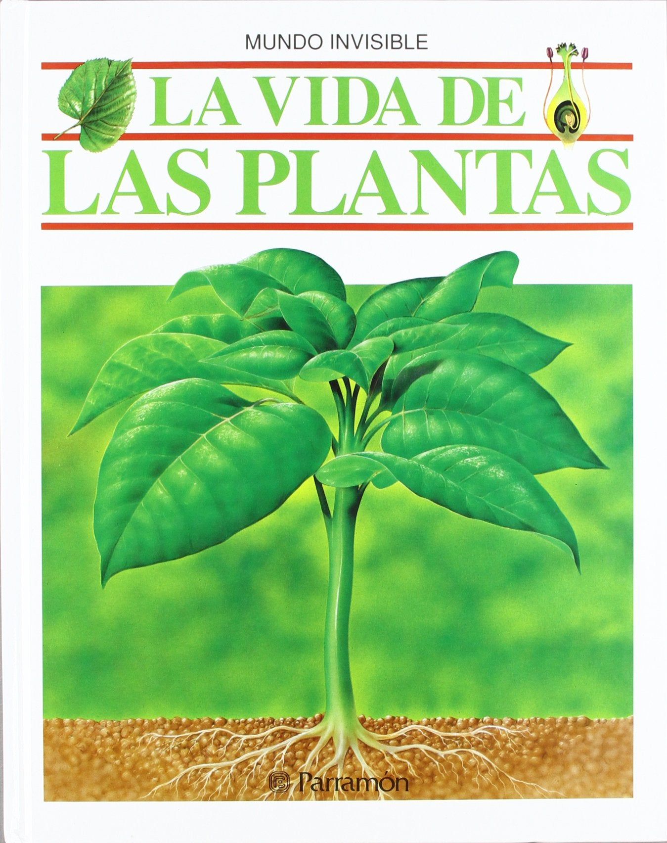 La vida de las plantas