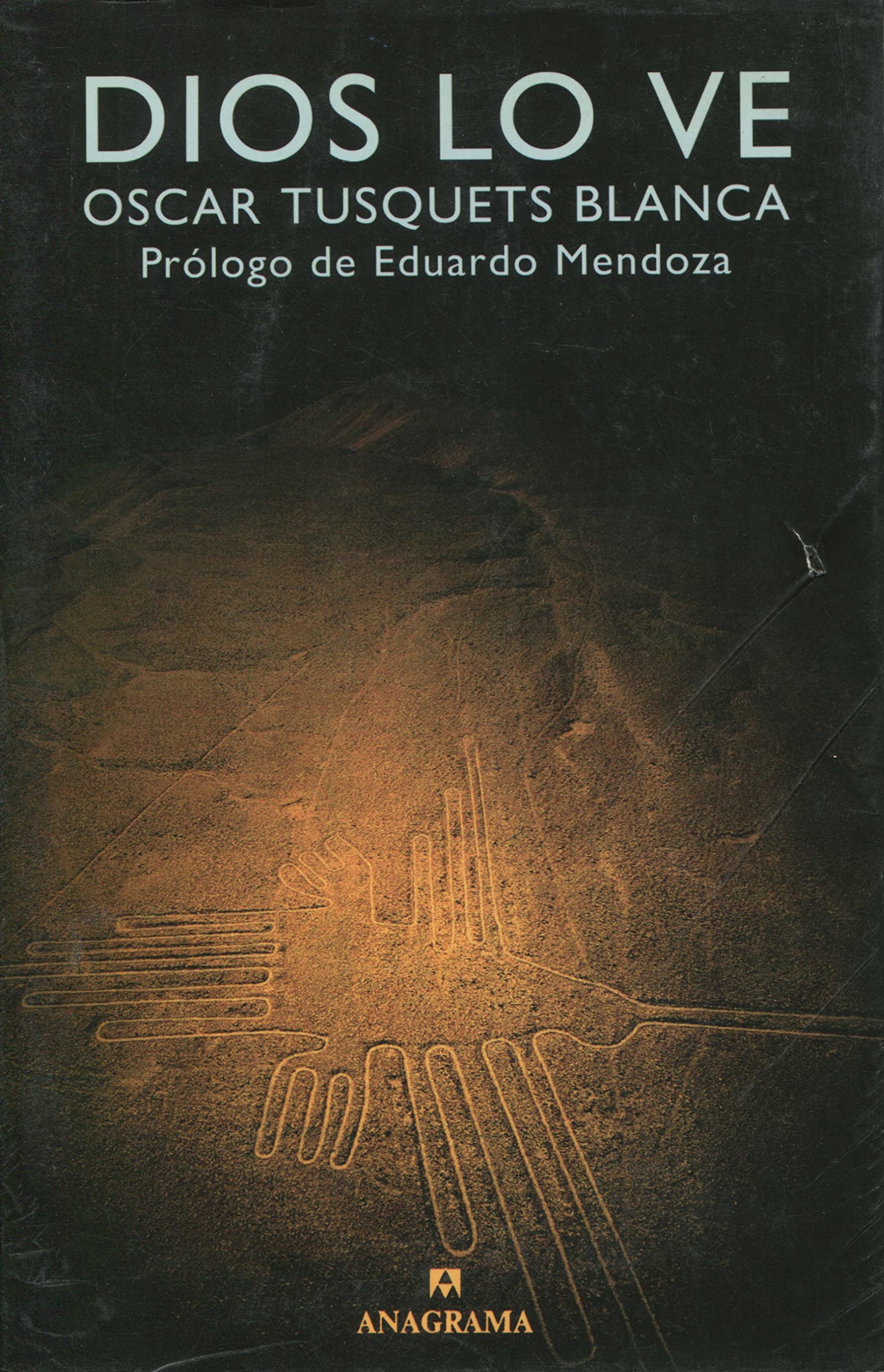Dios lo ve: 253 (Argumentos)