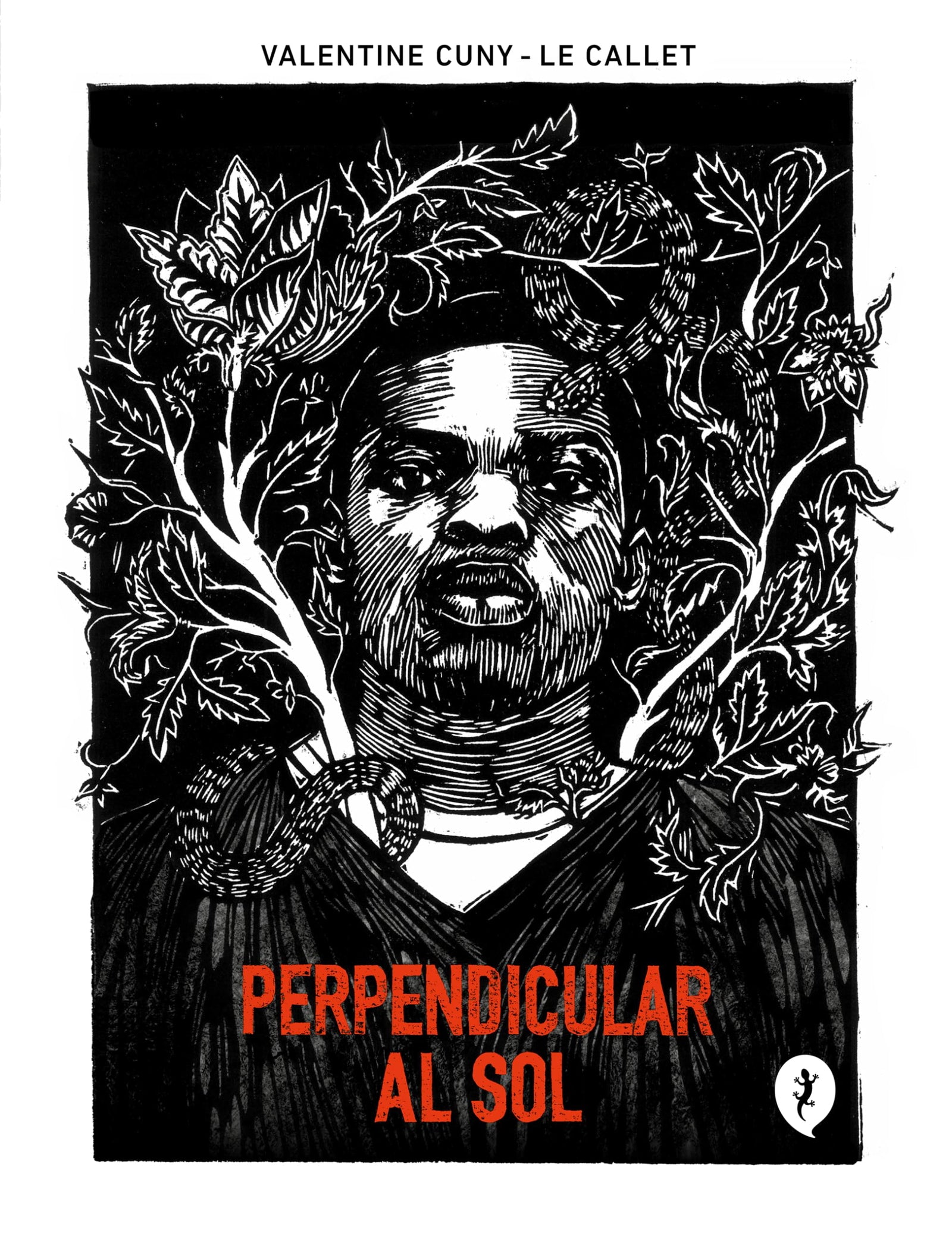 Perpendicular al sol (Salamandra Graphic)