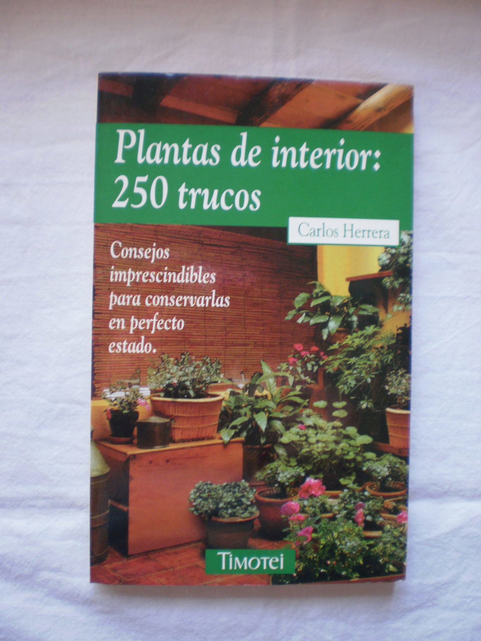Plantas De Interior