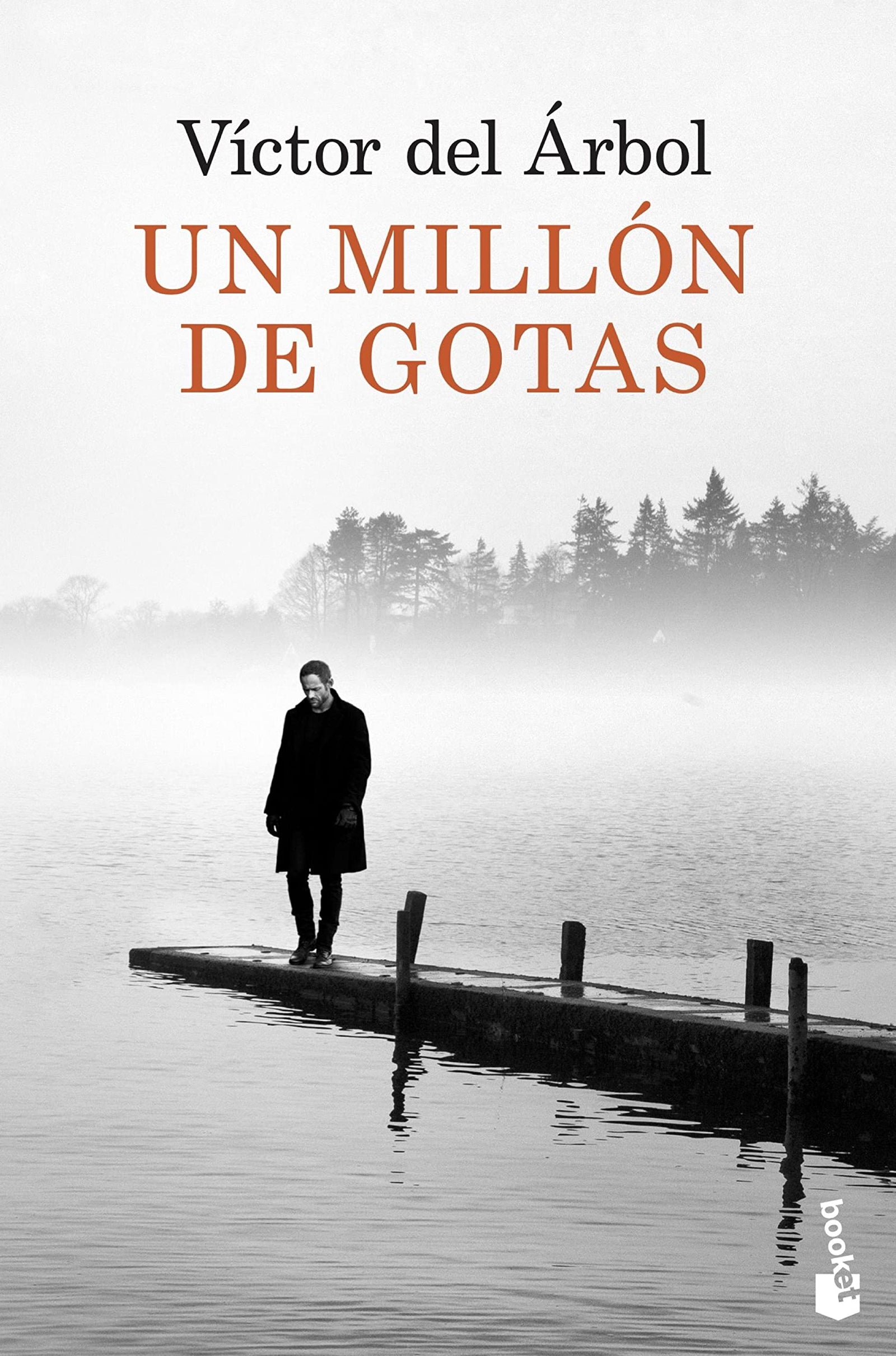 Un millón de gotas (Novela)