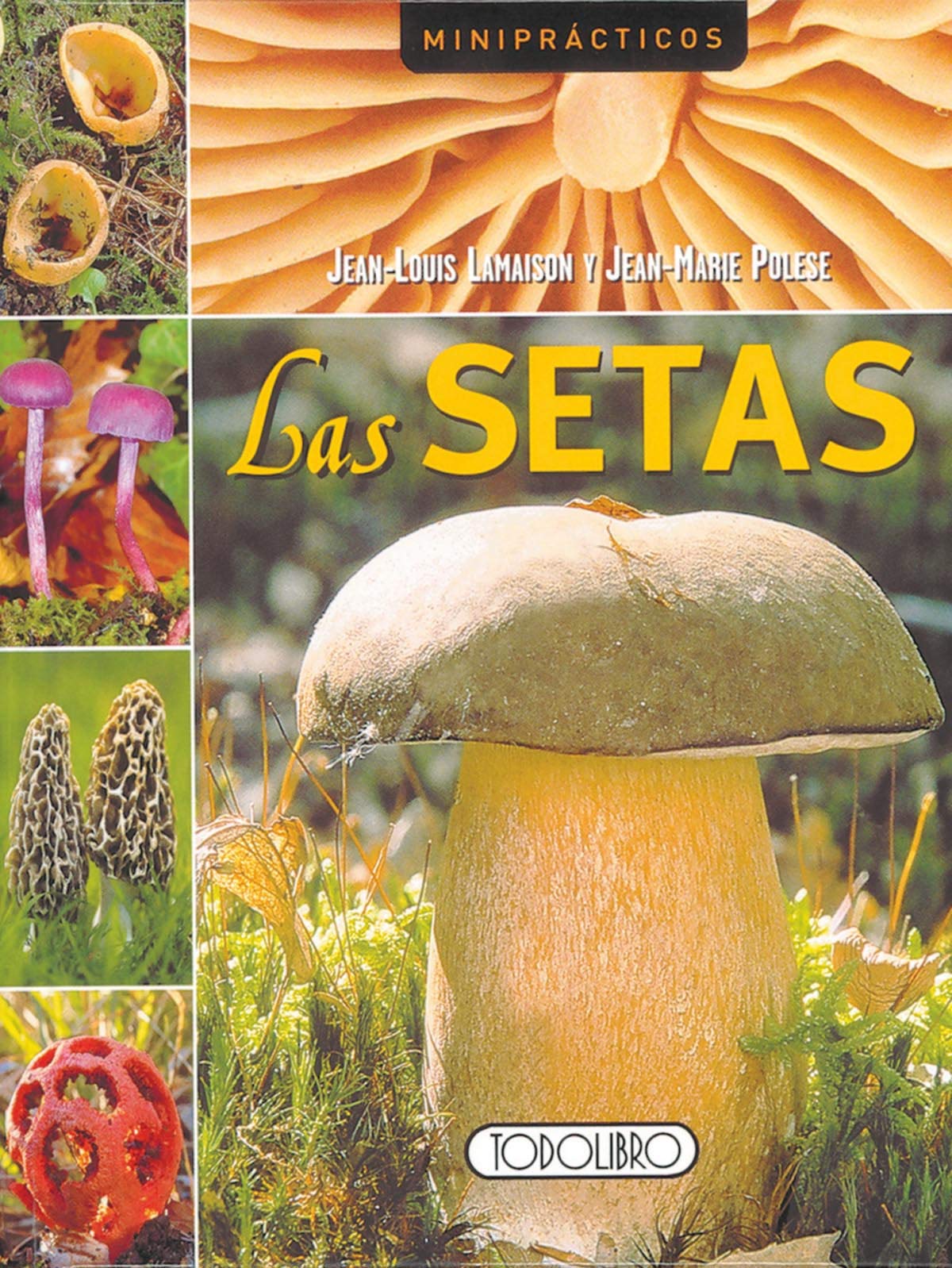 Las setas (Miniprácticos)