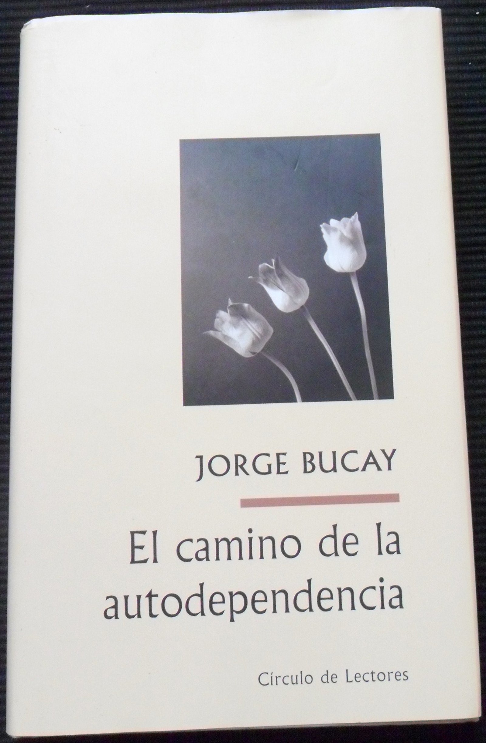 El Camino De La Autodependencia