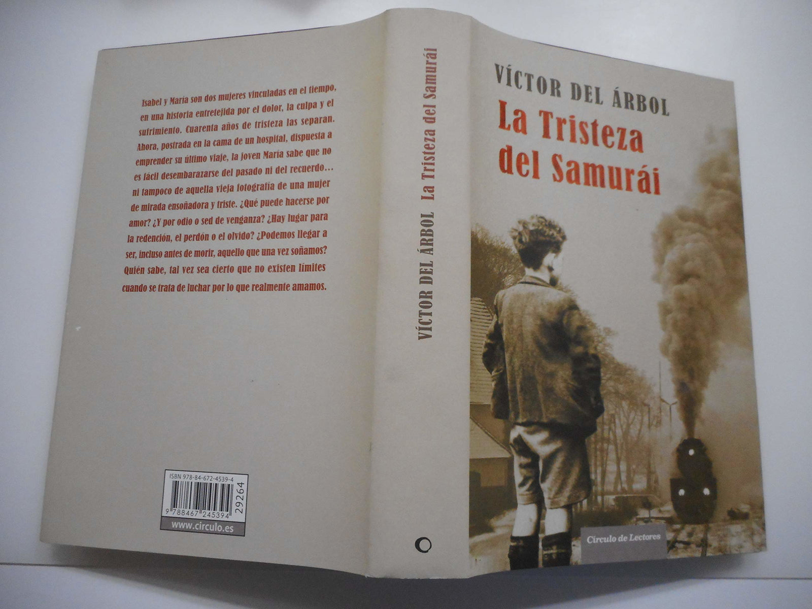 La Tristeza Del Samurái